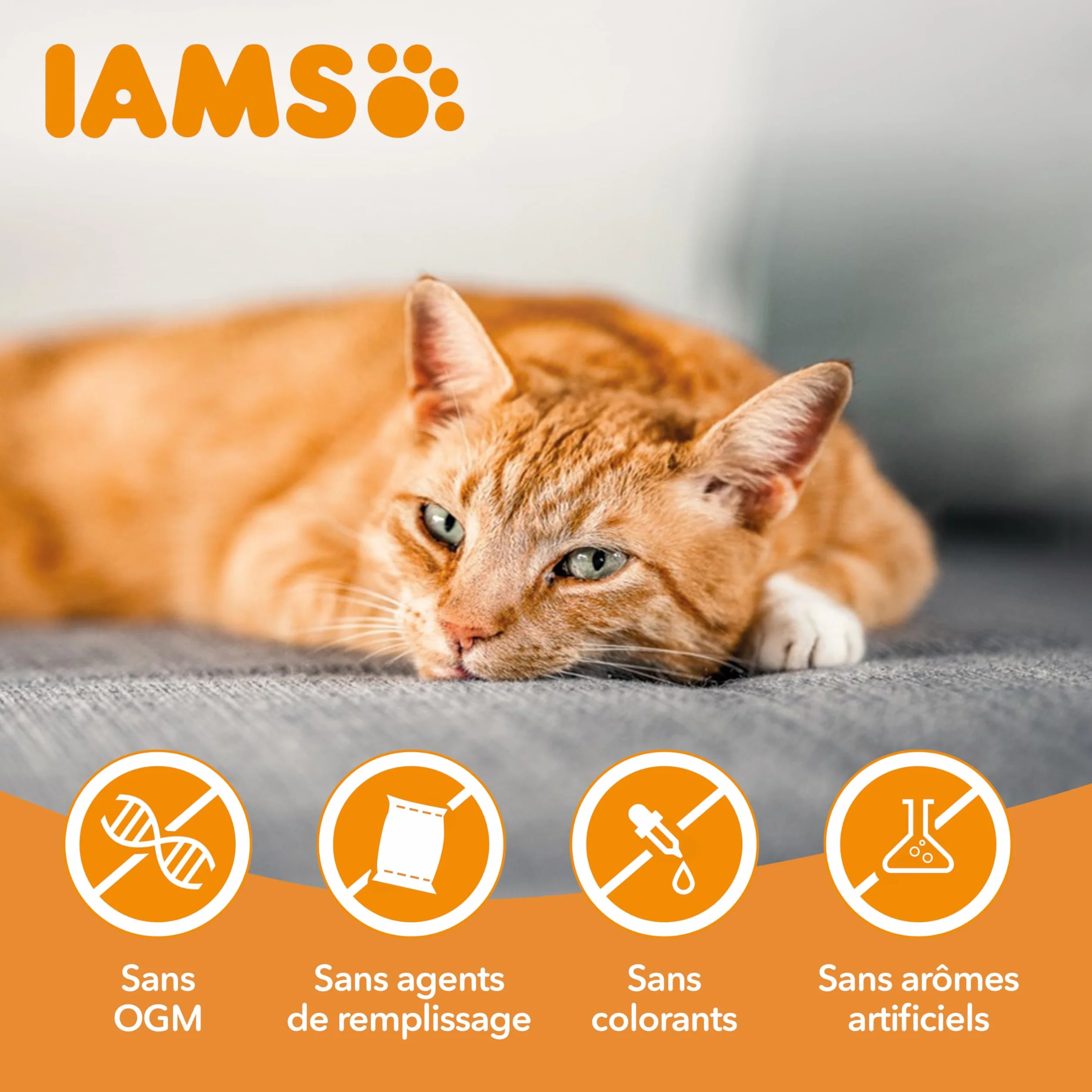 IAMS Advanced Nutrition Croquettes Allégées pour Chats Stérilisés au Poulet Frais 3 kg