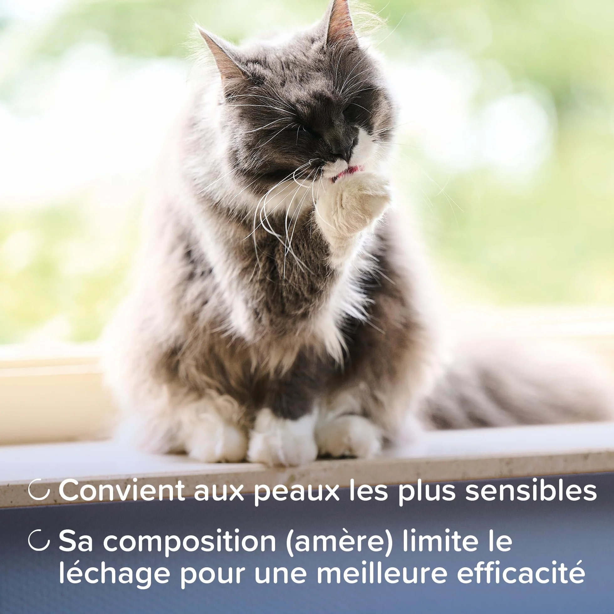 BEAPHAR DERMACARE Crème Réparatrice pour Chien et Chat Argent Colloïdal Aloe Vera Beurre de Karité 100ml
