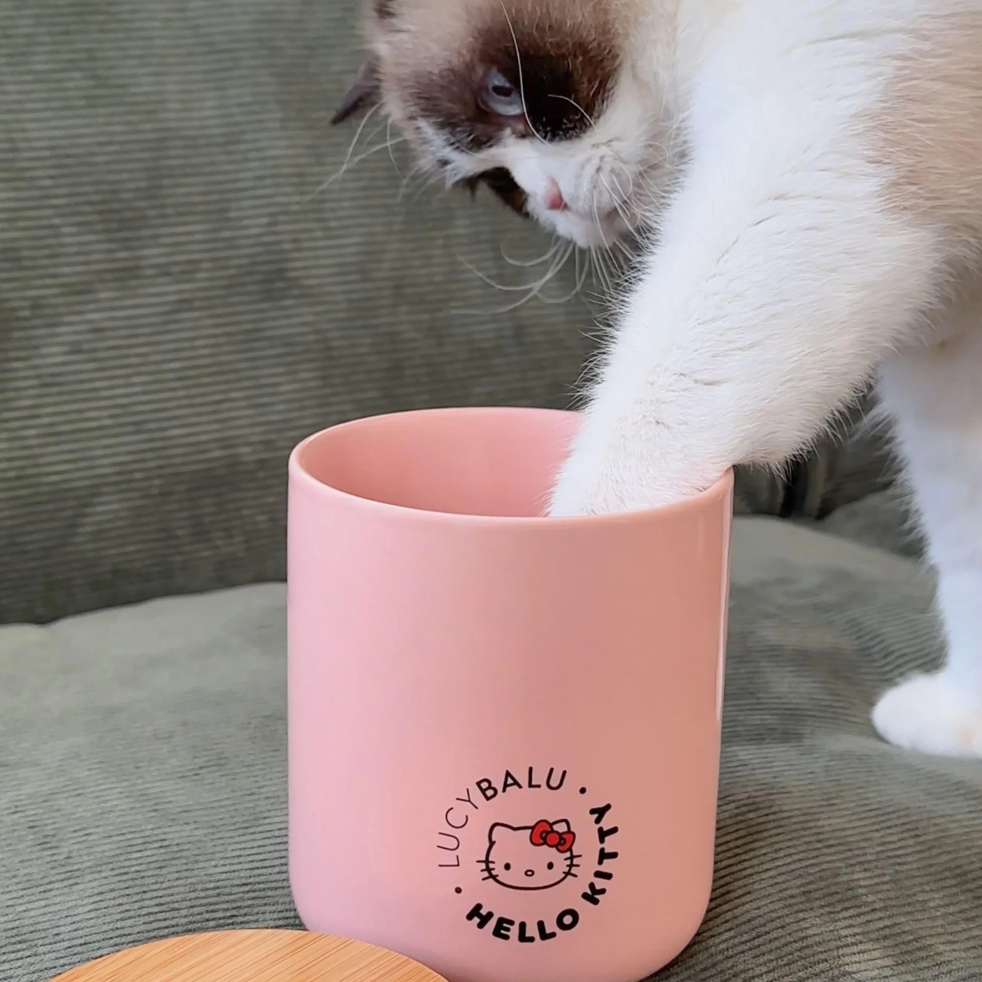 LucyBalu® Hello Kitty Snack Bar Boîte hermétique à croquettes I Rose