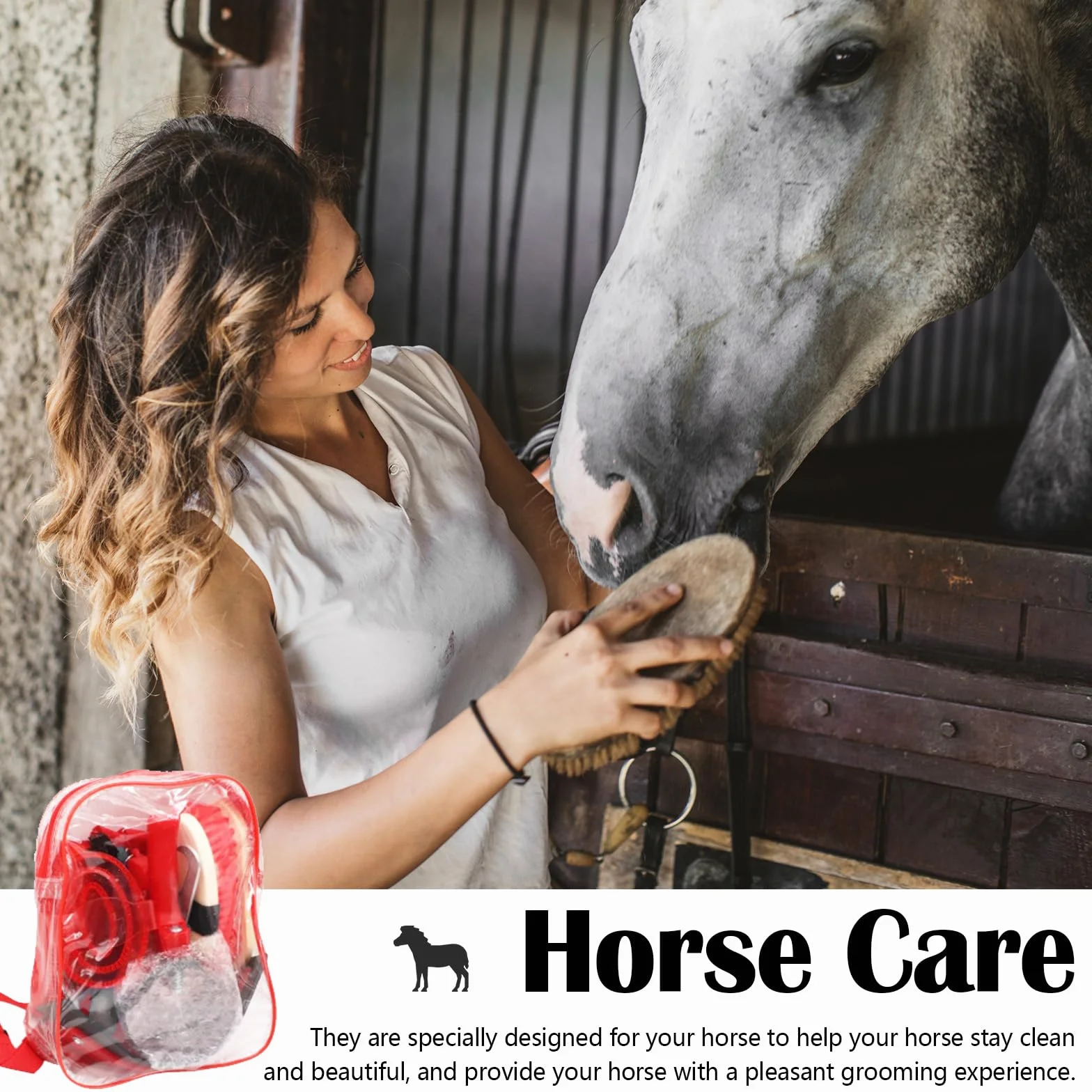 Brosses Pour Chevaux 10 Pièces Ensemble De Soins De Toilettage Nettoyage Brosse Équestre Accessoires Massage