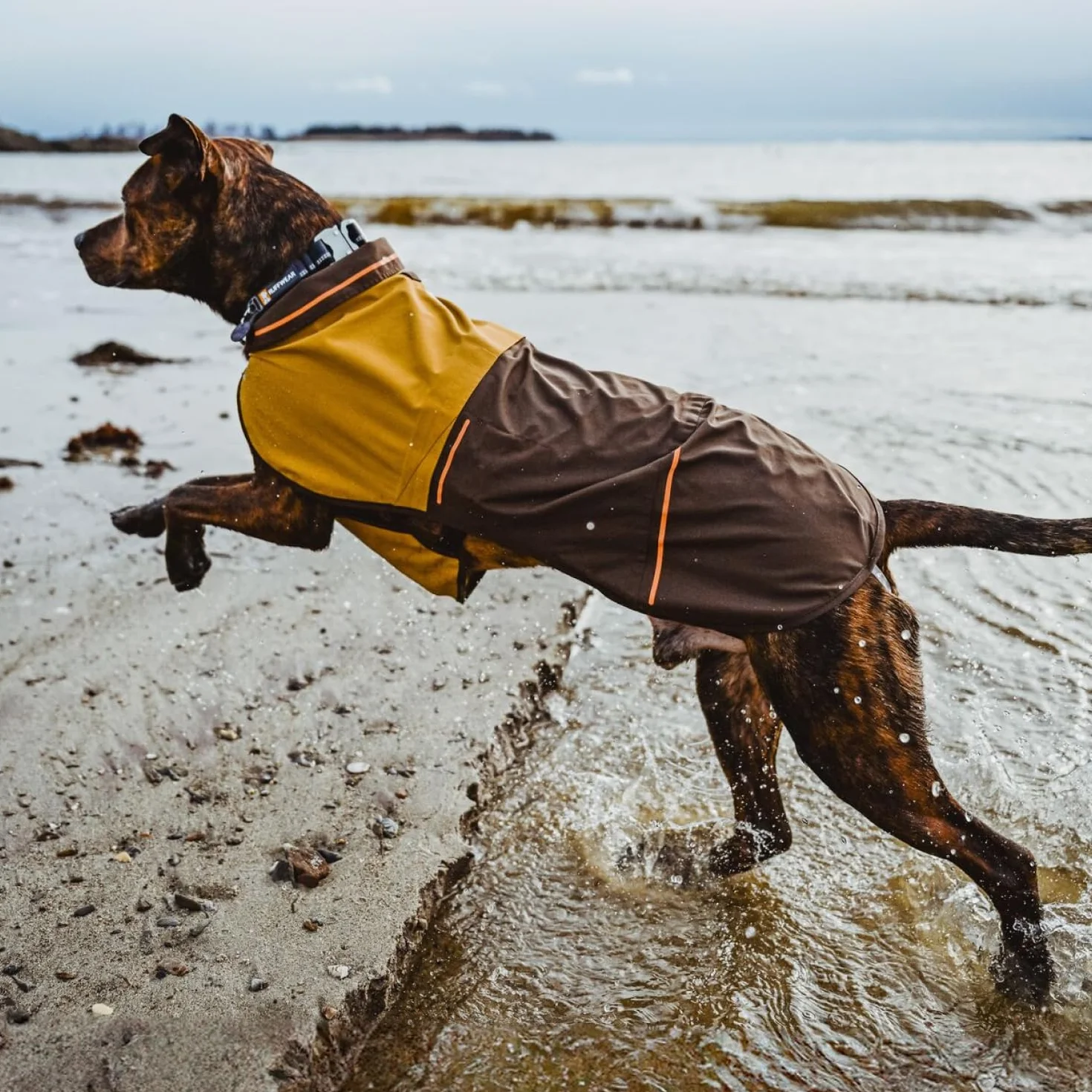 Veste pour Chien Ruffwear Sun Shower