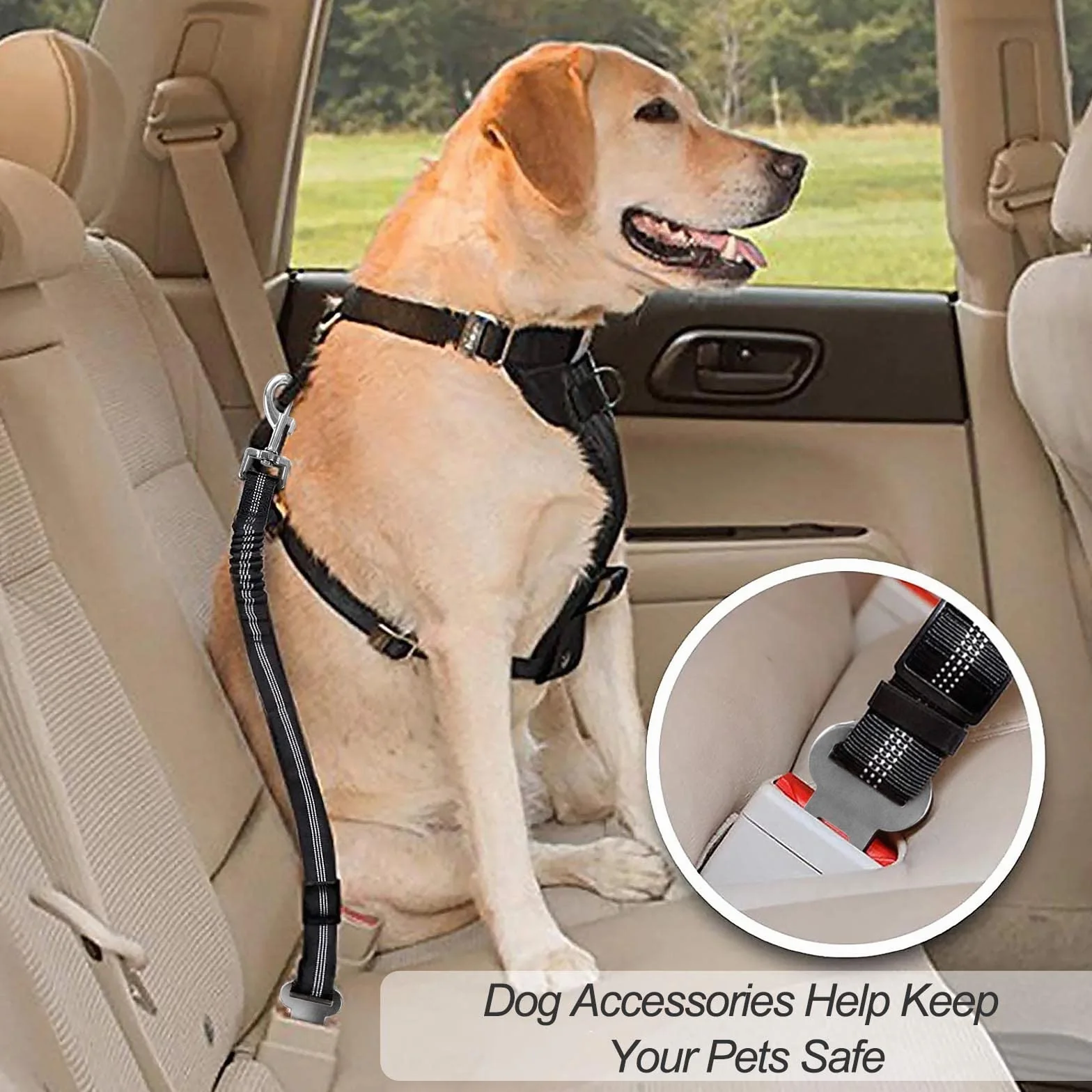 Redamancy Ceinture Securite Chien Voiture Harnais avec Absorption des Chocs Mousqueton