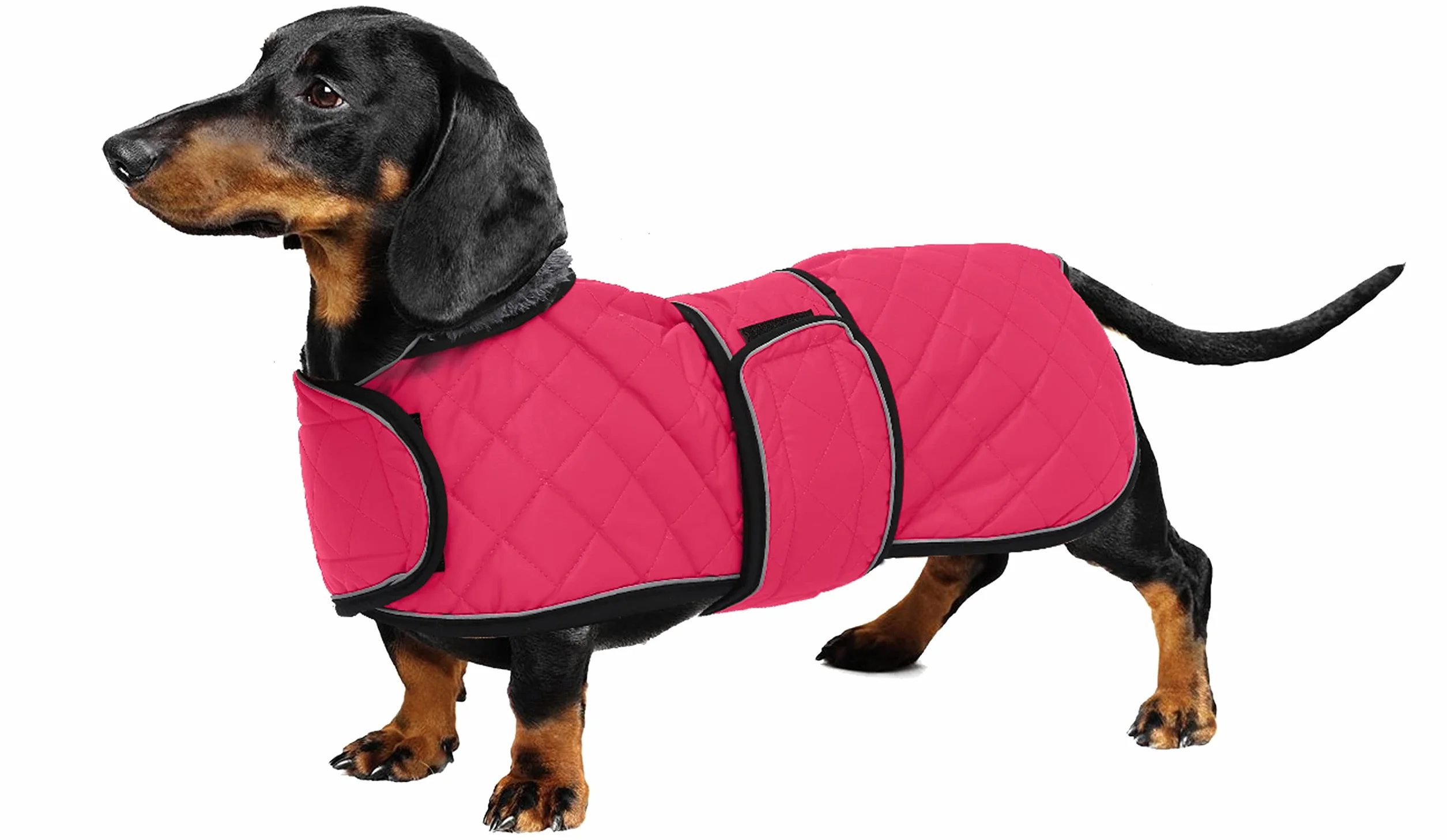 Manteau imperméable pour Teckel, Manteau d'hiver pour Chien avec Doublure en Polaire, Bandes réglables - Rose XS
