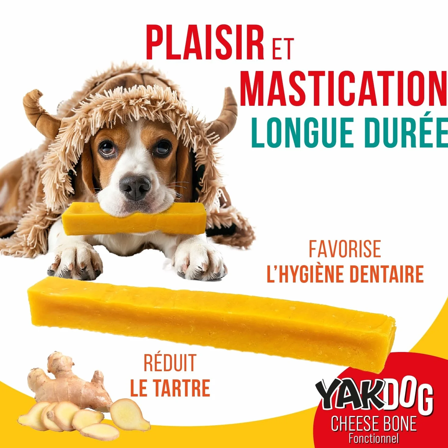 SANTÉ+ Bâtonnets Fromage Chien Curcuma Anti-Inflammatoire Articulations & Cartilage sans Gluten Riche en Calcium Protéines Friandise Longue Durée 100% Naturel Belgique XS