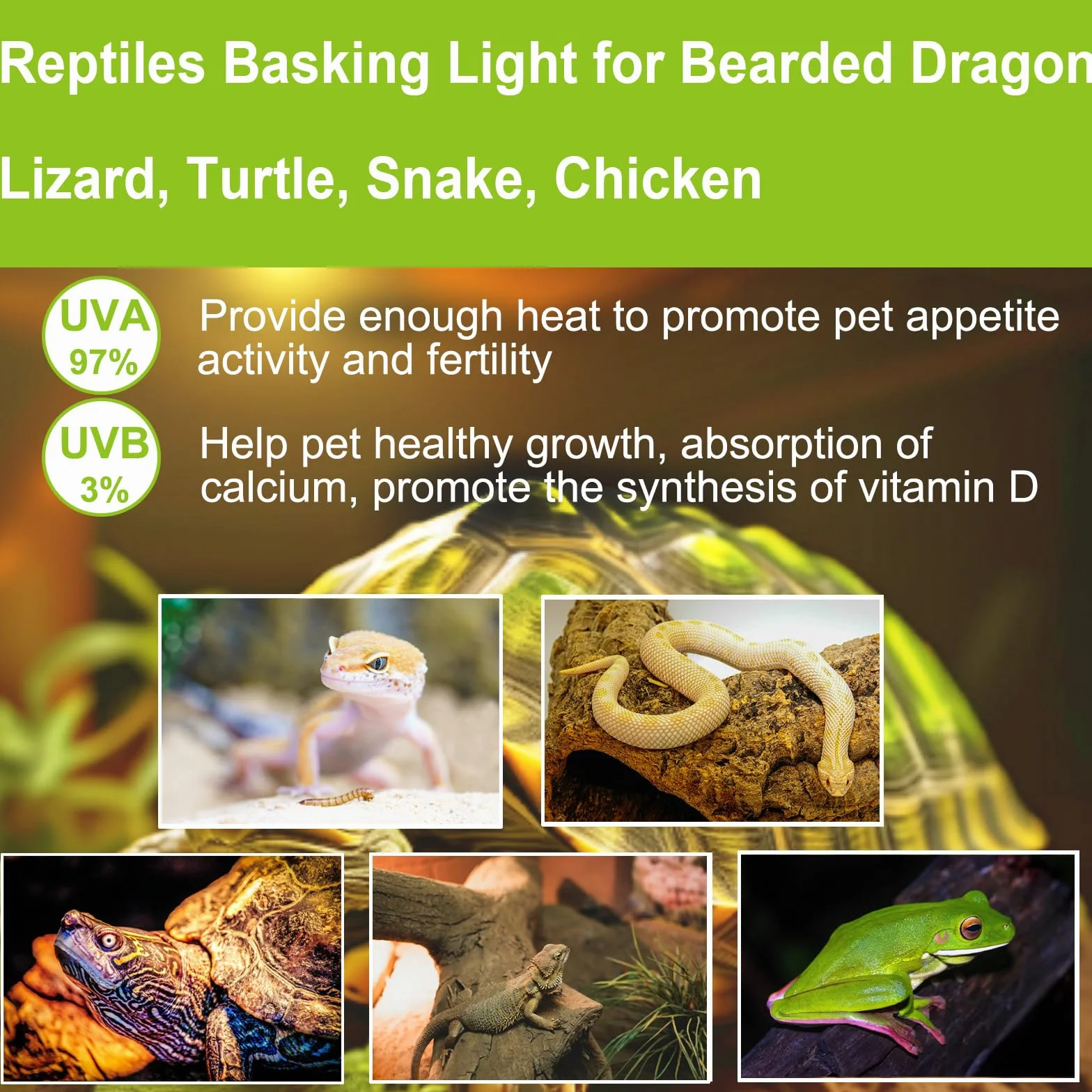 Lot de 4 ampoules chauffantes E27 75 W pour reptiles UVA UVB intensité variable