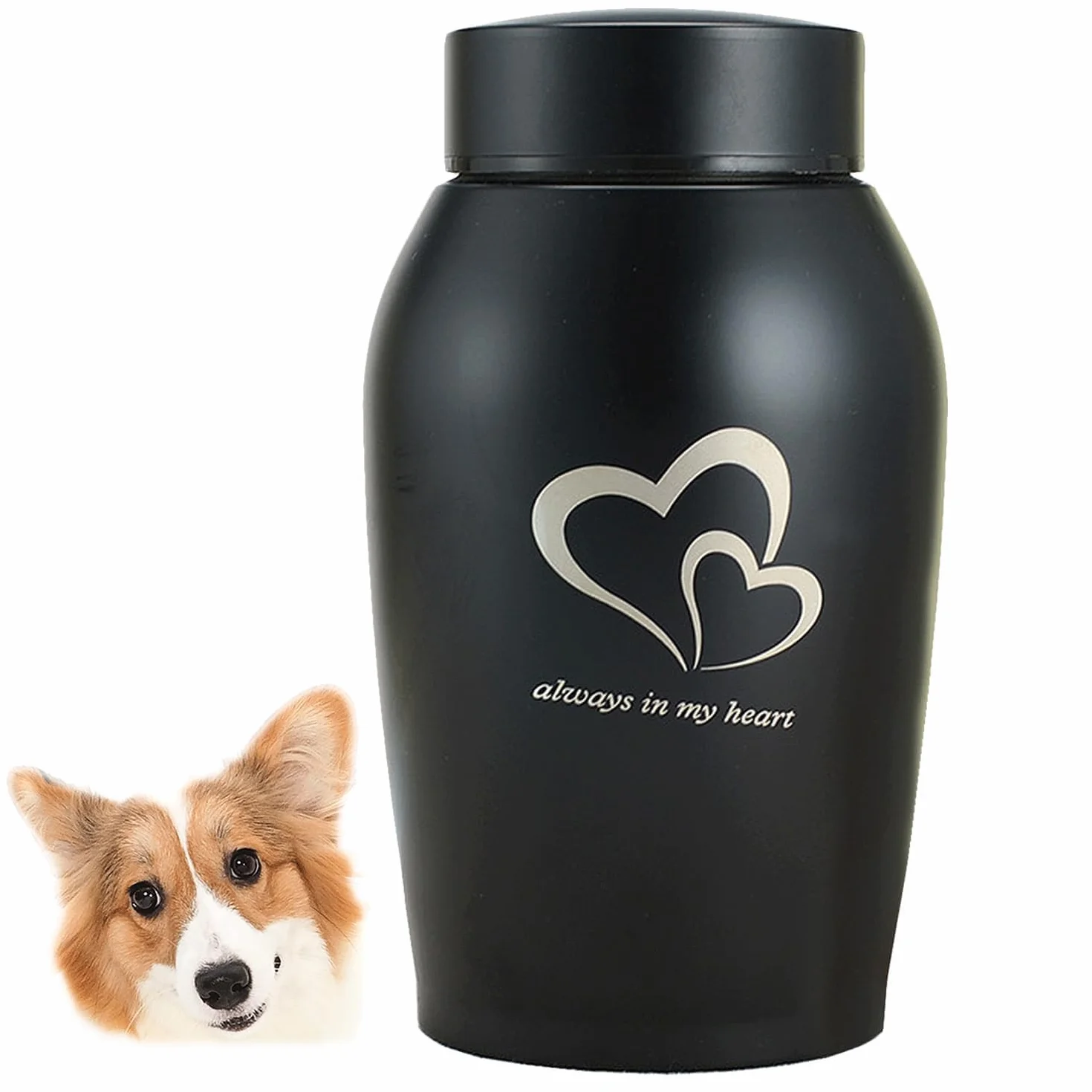 Urne commémorative en acier inoxydable pour animaux de compagnie, chiens et chats (Noir)
