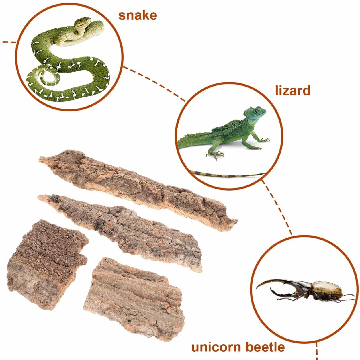 BESPORTBLE Lot de 4 cachettes en écorce d'arbre pour reptiles tortue léopard gecko serpent hamster