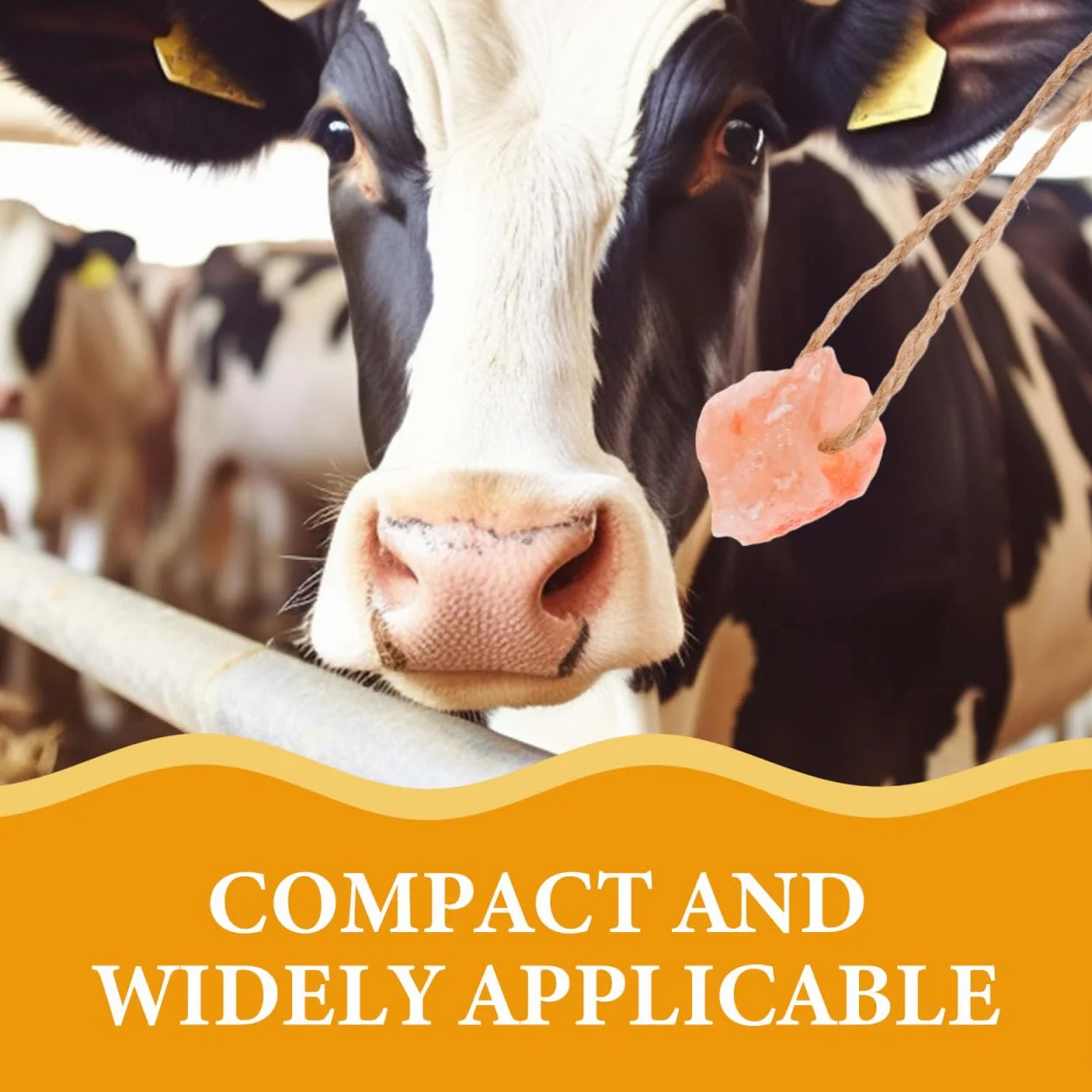 Toddmomy 4 Pièces Blocs de Sel Minéral Naturel avec Support pour Chèvres Chevaux Vaches Cerfs
