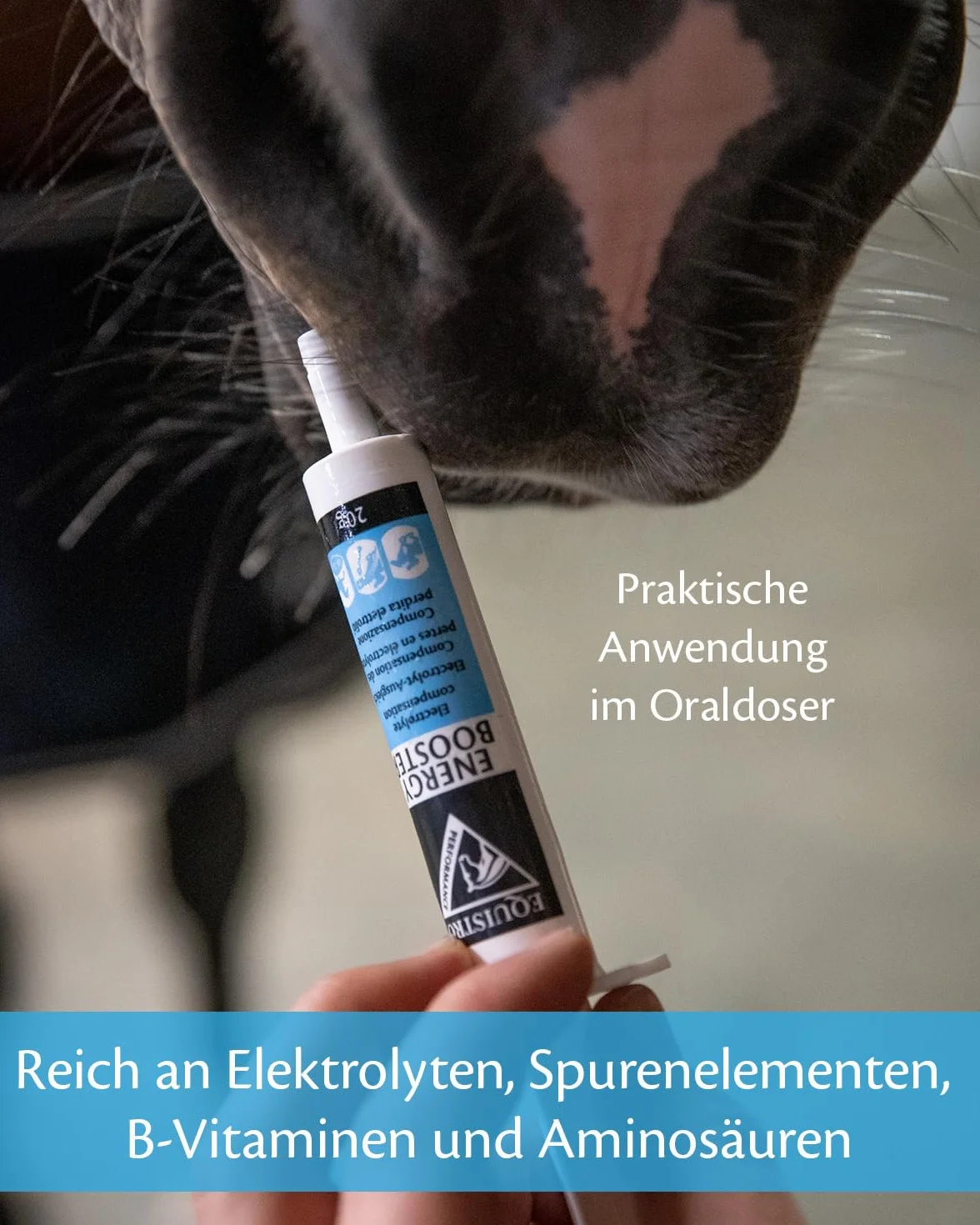 EQUISTRO® Energy Booster Complément Alimentaire pour Chevaux 20 g