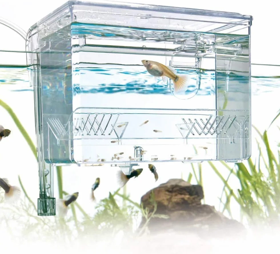 WAVE Salle d'Accouchement pour Aquariophilie Taille L