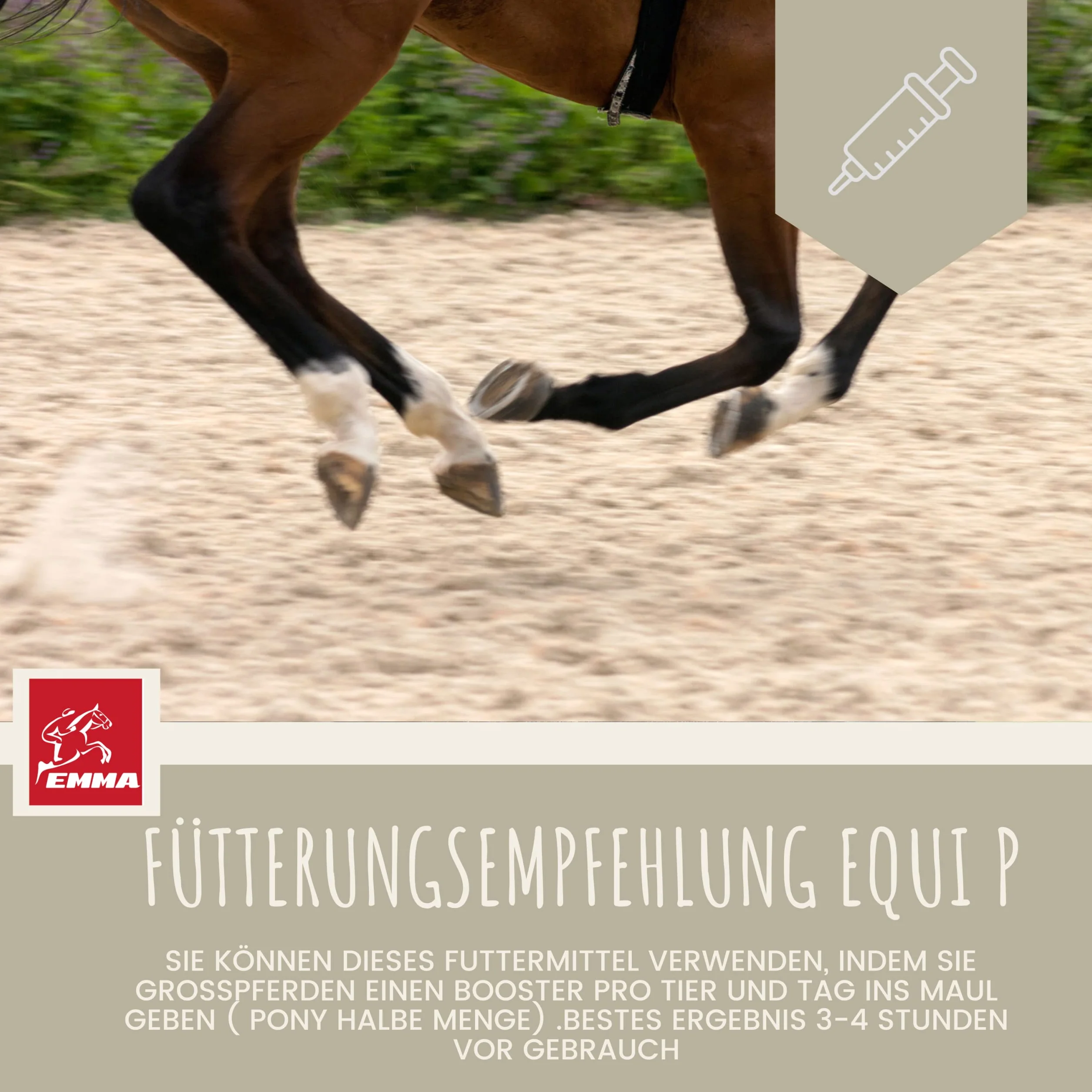 Pâte vitaminée cheval glucosamine chondroïtine haute dose appareil locomoteur articulations tendons ligaments