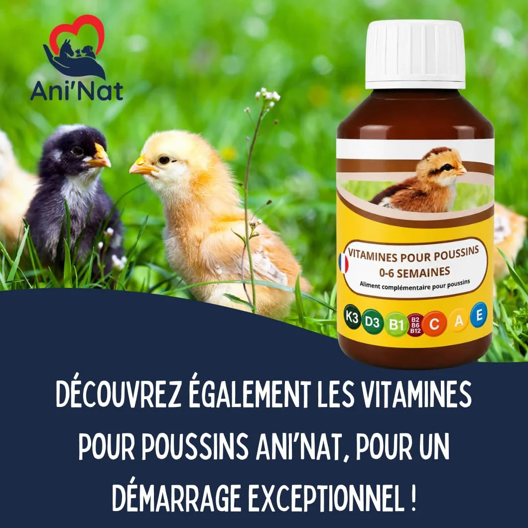 AniNat 1.8kg Aliment démarrage Poussins Nourriture 1er âge vitamines protéines minéraux huiles essentielles Adapté Naissance sans OGM sans Antibiotique