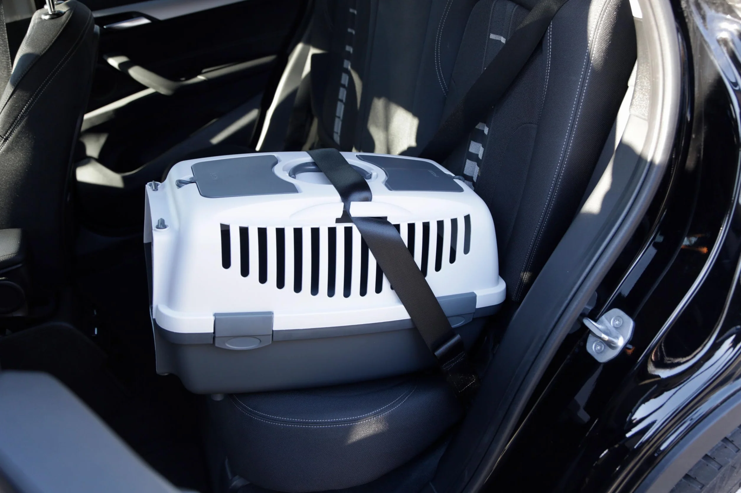 Kerbl Chien Box de Transport Gulliver 55x36x35 cm Gris