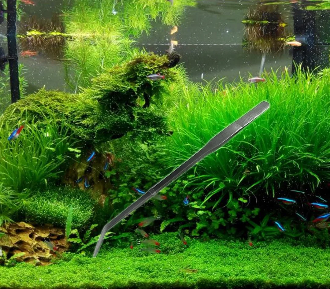 Générique Acier Inoxydable Aquarium Aquascaping Kit Pince à épiler Ciseaux Spatule 5 Outils