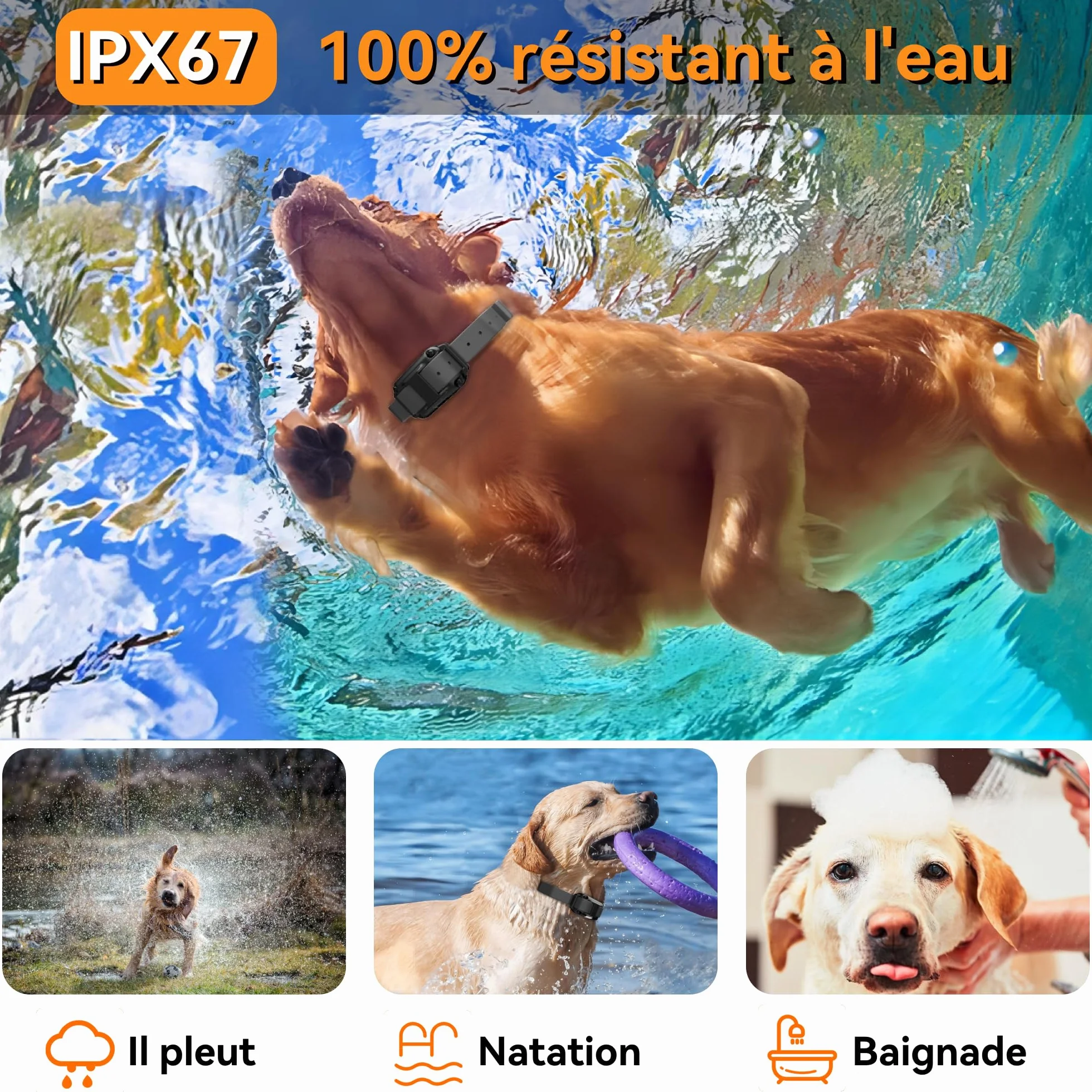 Collier de Dressage pour Chiens Rechargeable Meloive, Portée 3000m, Mode Vibration Son Choc Statique Lumière, IPX67 Résistant à l'Eau