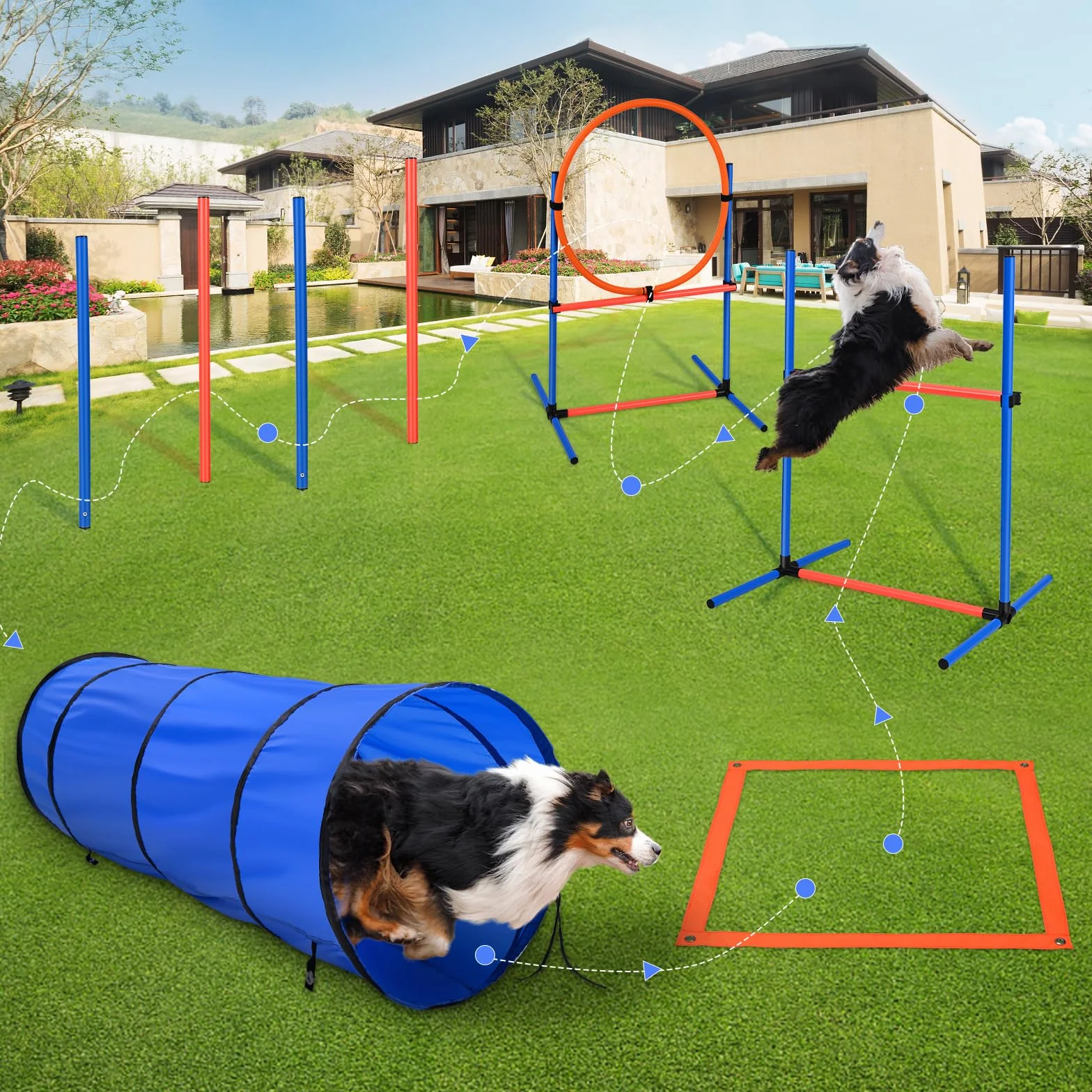 Agility Kit pour Chien avec Tunnel 170 cm, 8 Barres de Slalom, Hauteur réglable