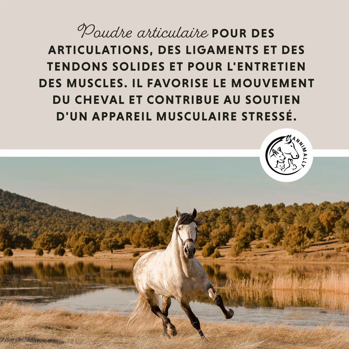 Annimally Complement Chevaux articulations 850g - Griffe du Diable, MSM, glucosamine, acide hyaluronique, chondroïtine