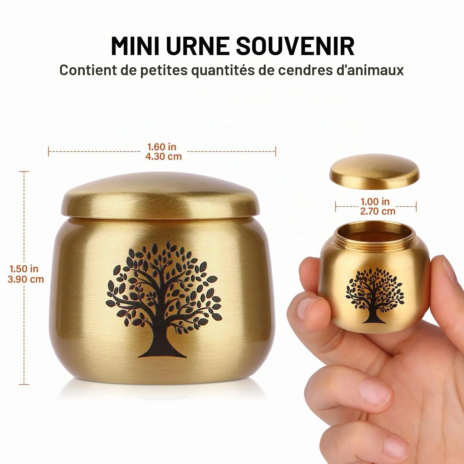 Urne funéraire en Laiton Motif Arbre de Vie pour Cendres Adultes, Femmes, Animaux domestiques 2.5 Pouces Cubes