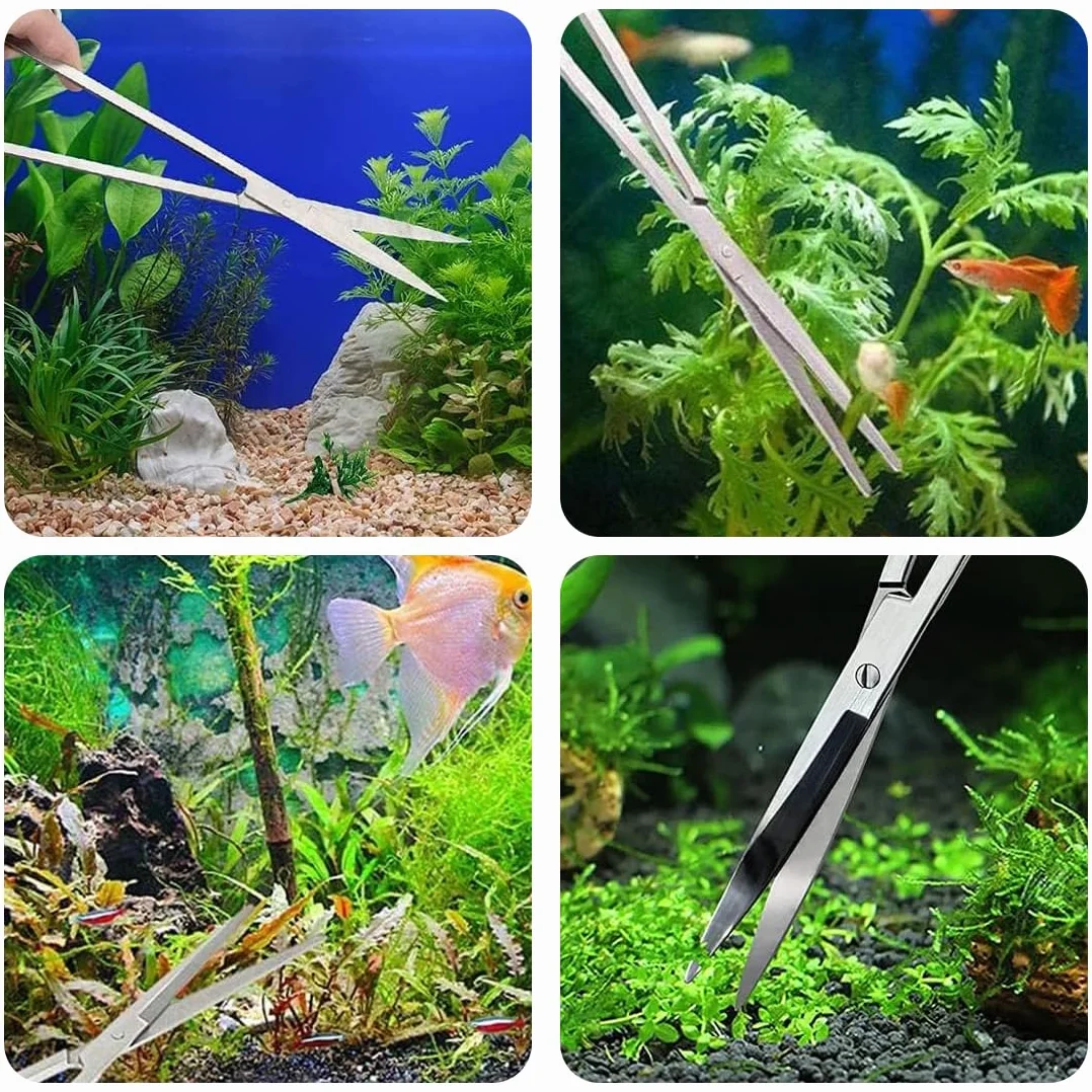 Ciseaux d'aquarium en acier inoxydable pour tailler les plantes aquatiques