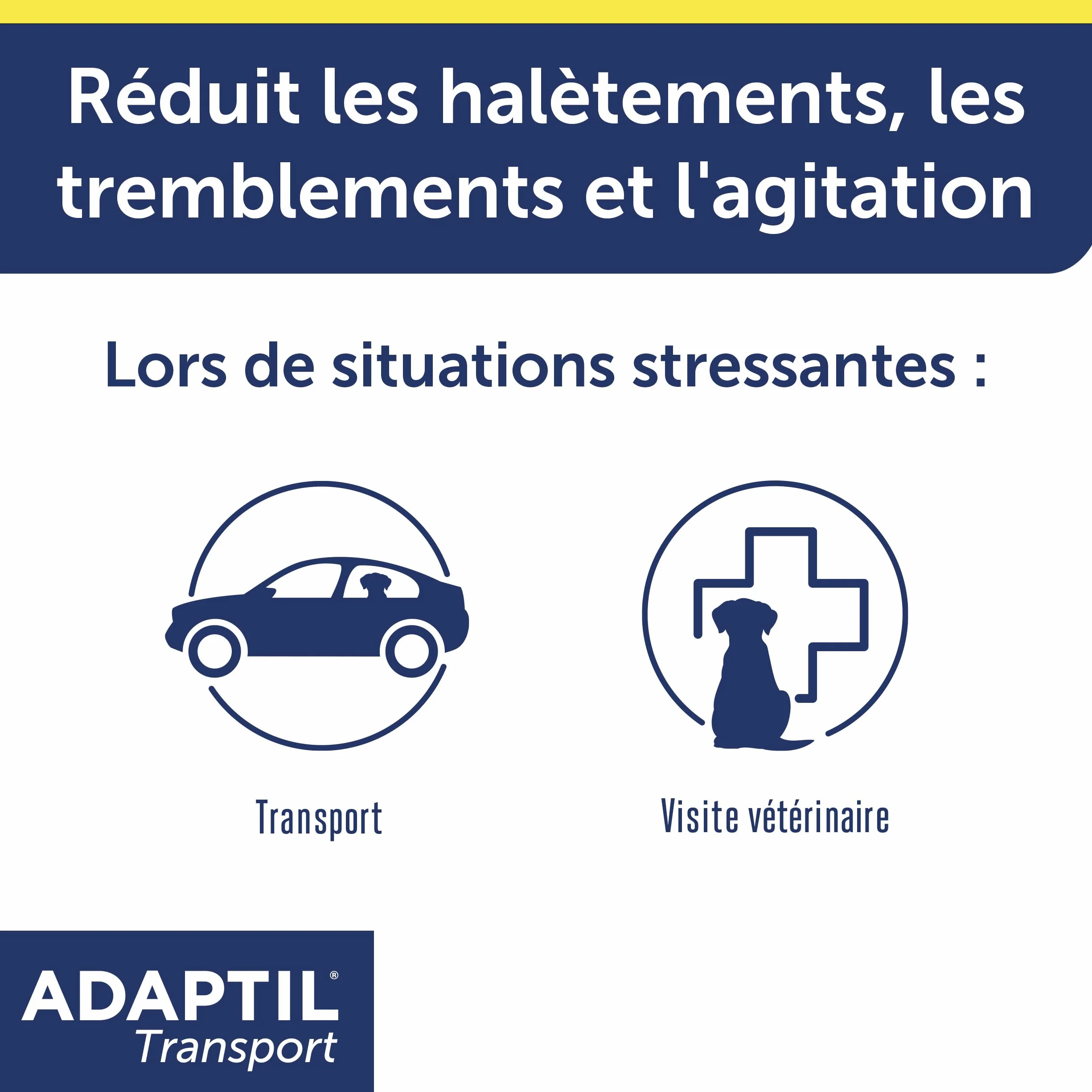 ADAPTIL Transport Spray 20ml Anti-Stress pour Chien