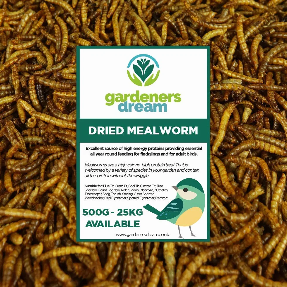 Vers de Farine séchés GardenersDream Friandises nutritives pour Oiseaux Sauvages 5kg