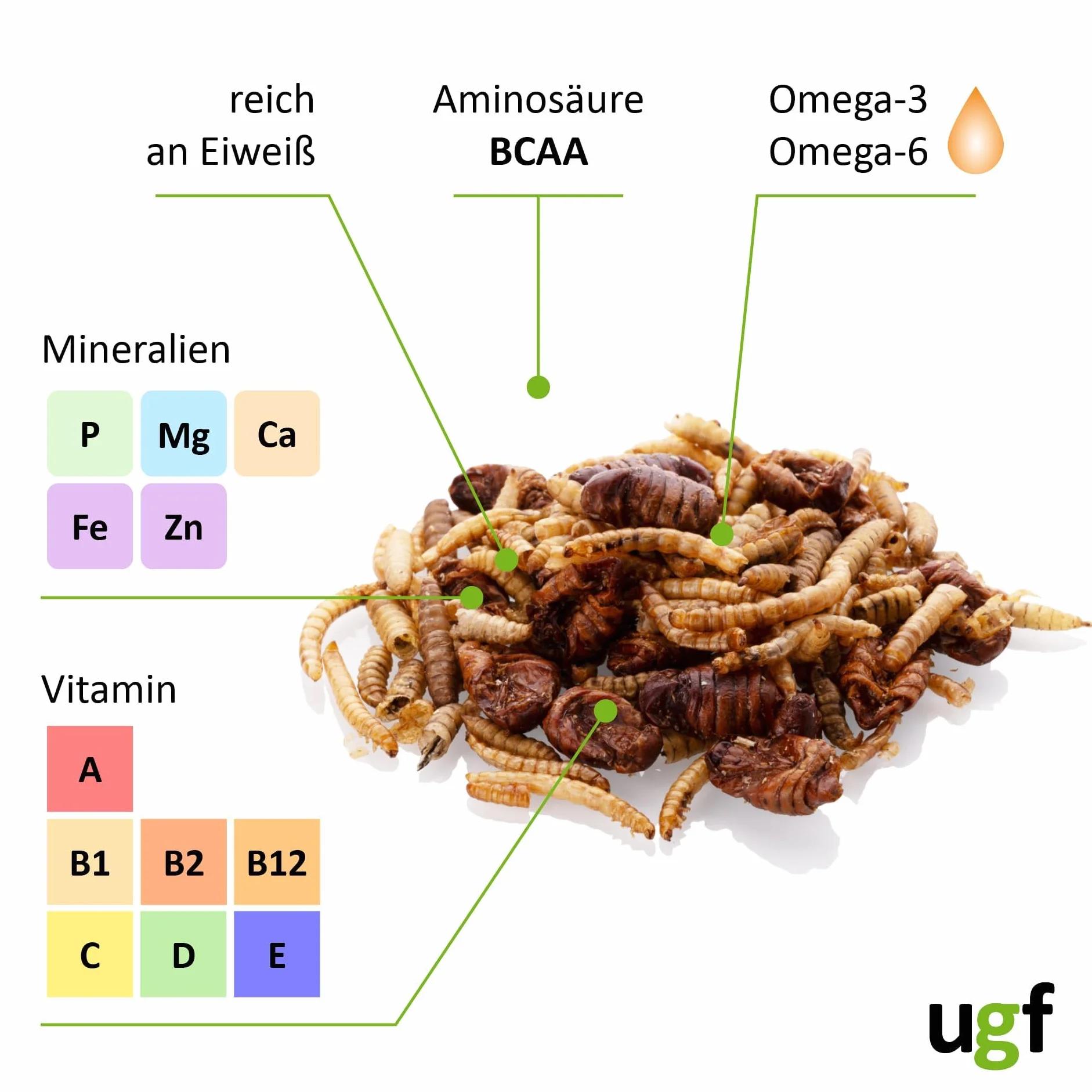 UGF Mélange pour Insectes 80g Seau 500ML Nourriture pour hérissons gerbilles Hamsters Rats lézards