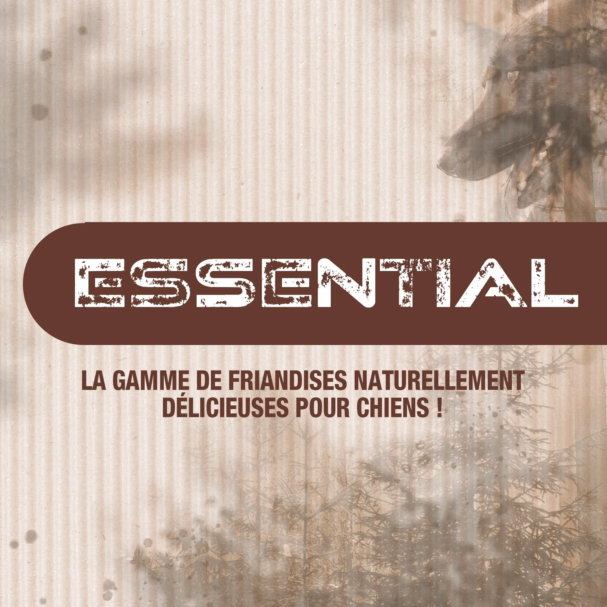 Friandises pour Chien Genoux de Porc Riga Essential Riche en Protéines sans Colorant ni Additifs Longue Durée Mastication x 2