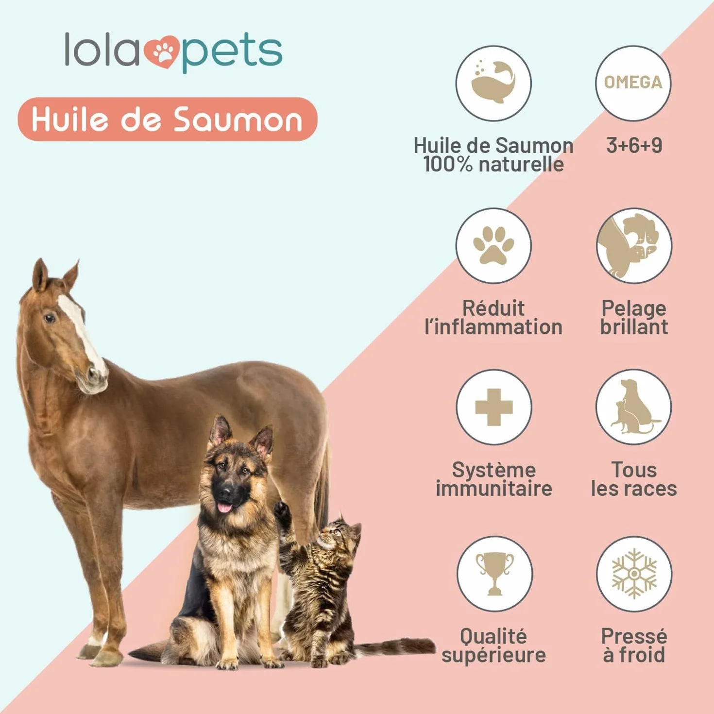 Huile de Saumon pour Chien et Chat 1 Litre NORVÈGE - Riche en Omega 3+6+9 et Vitamine E