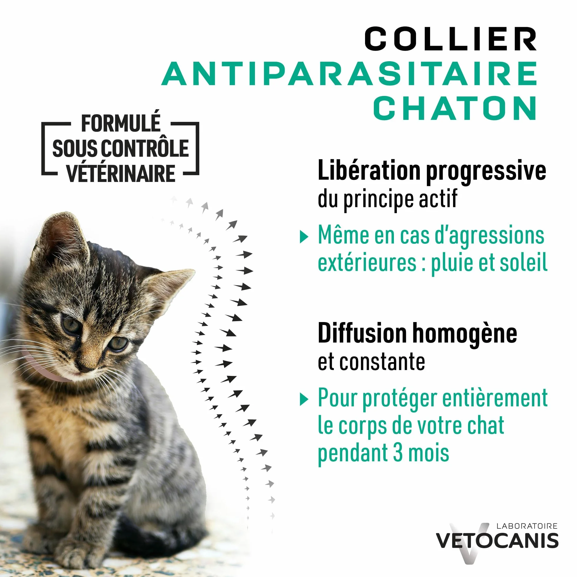 Collier anti-puces et anti-tiques pour chaton Vetocanis - Protection antiparasitaire 3 mois résistant à l'eau