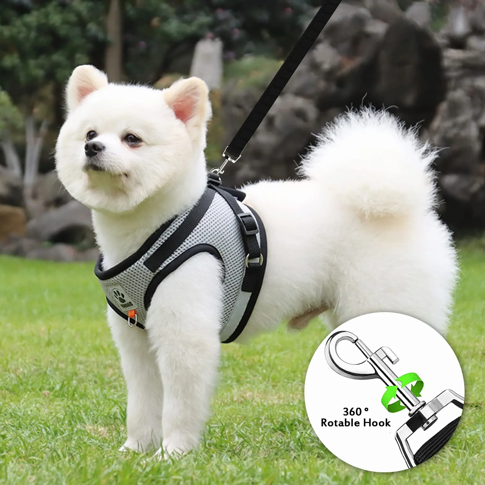 Harnais Chat Anti-évasion Réfléchissant Réglable Gilet Respirant pour Chat et Petit Chien