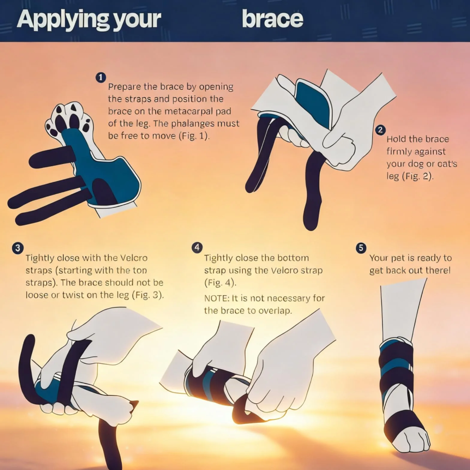 Attelage réglable pour pattes de chat avec attelle en aluminium amovible, stabilise os du poignet, fractures et entorses