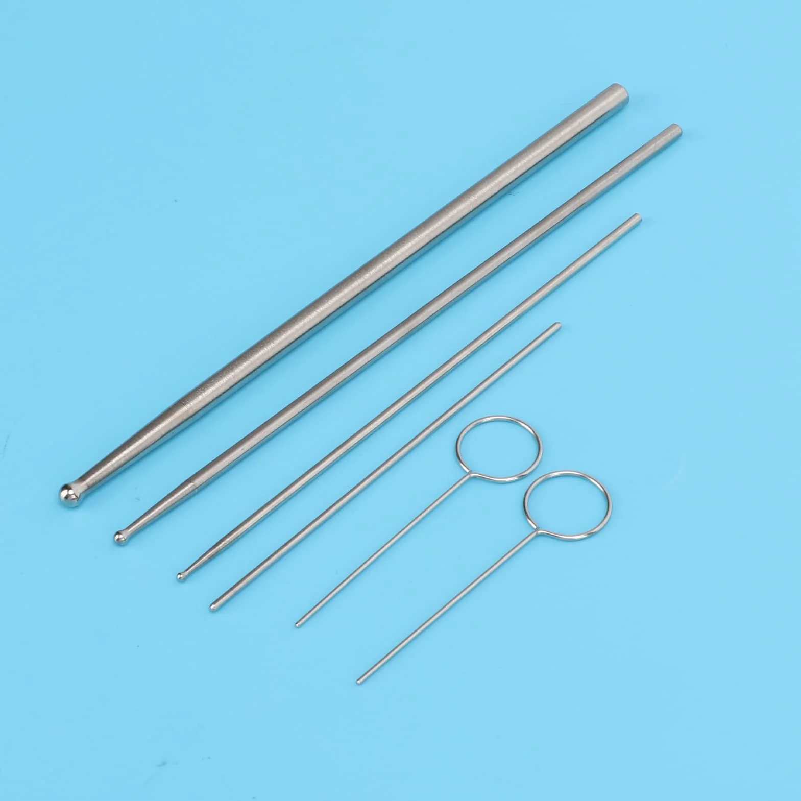 Sonde de sexage de Serpent en Acier Inoxydable 5 Tailles avec boîte de Rangement pour Reptiles