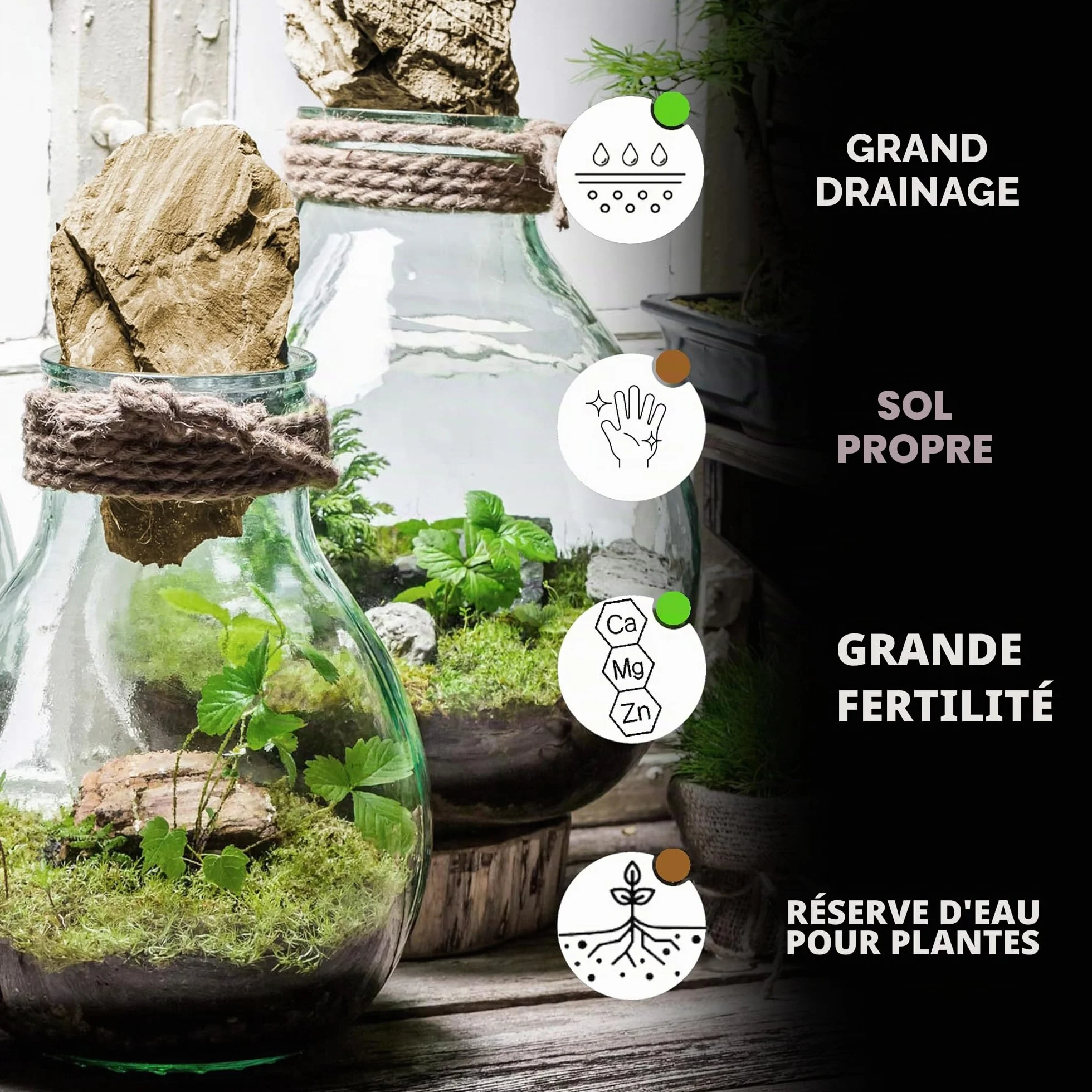 Substrat pour plantes de terrarium - Terreau de drainage avec humus et charbon actif - 100 % naturel - 2 l
