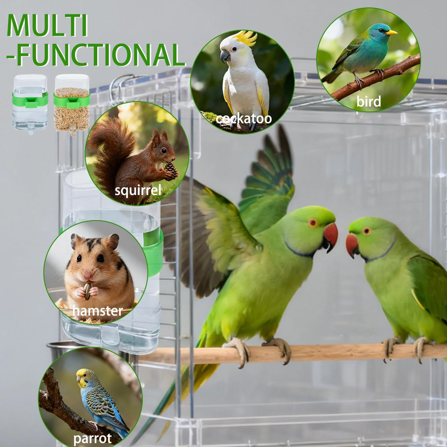 Distributeur Automatique d'eau pour Oiseaux 4 Pièces Transparent Mangeoire Oiseaux Cage