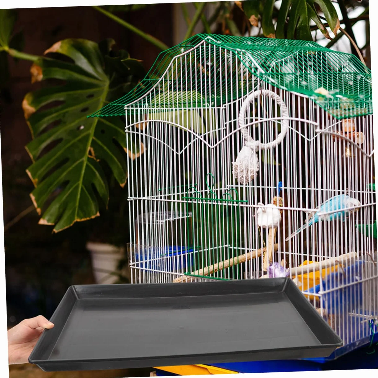 Plateau pour Cages Animaux Plateau Remplaçable pour Oiseaux Design Étanche