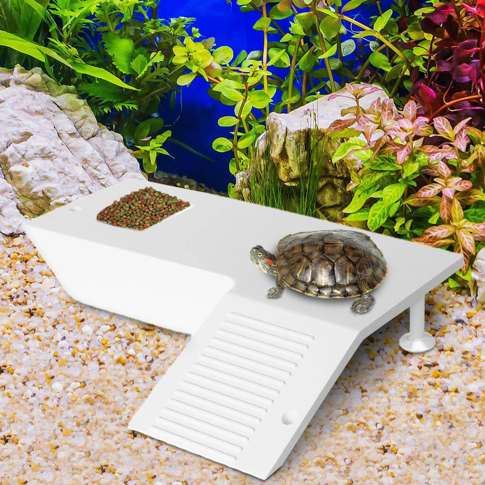 Terrasse pour Reptiles avec Scène d'Escalade Stable, Plateforme de Repos pour Tortues