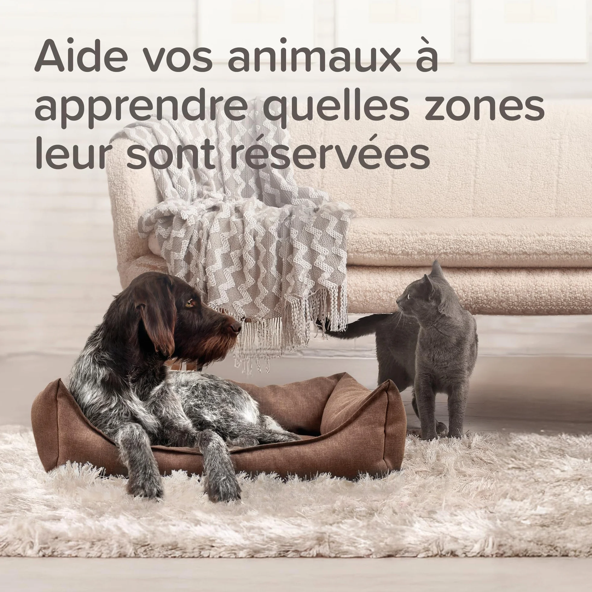 Beaphar Keep Off Spray répulsif Intérieur Chiens Chats 200 ML