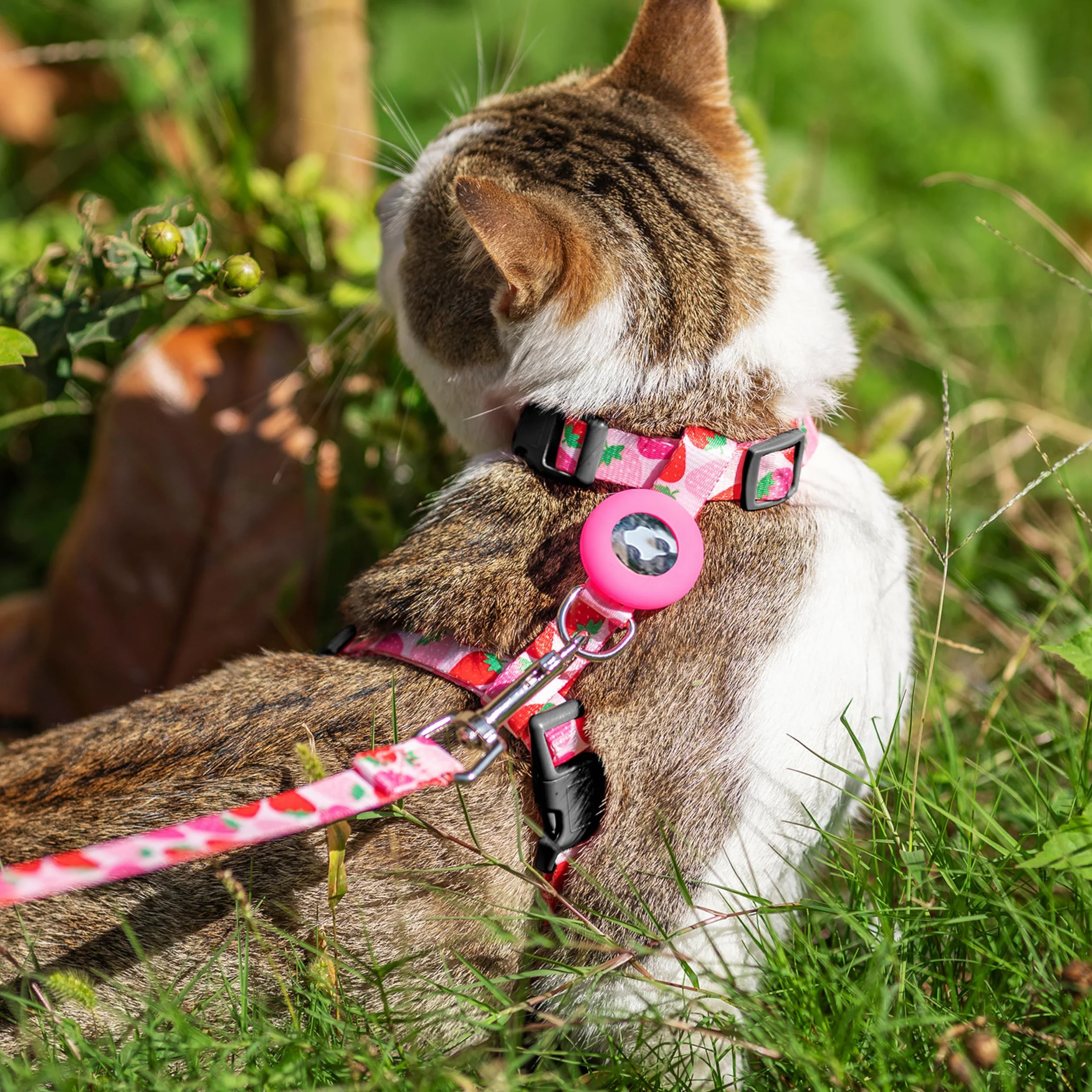 Harnais et Laisse Anti-Fugue pour Chat avec Support Airtag, Motif Strawberry, Nylon réglable