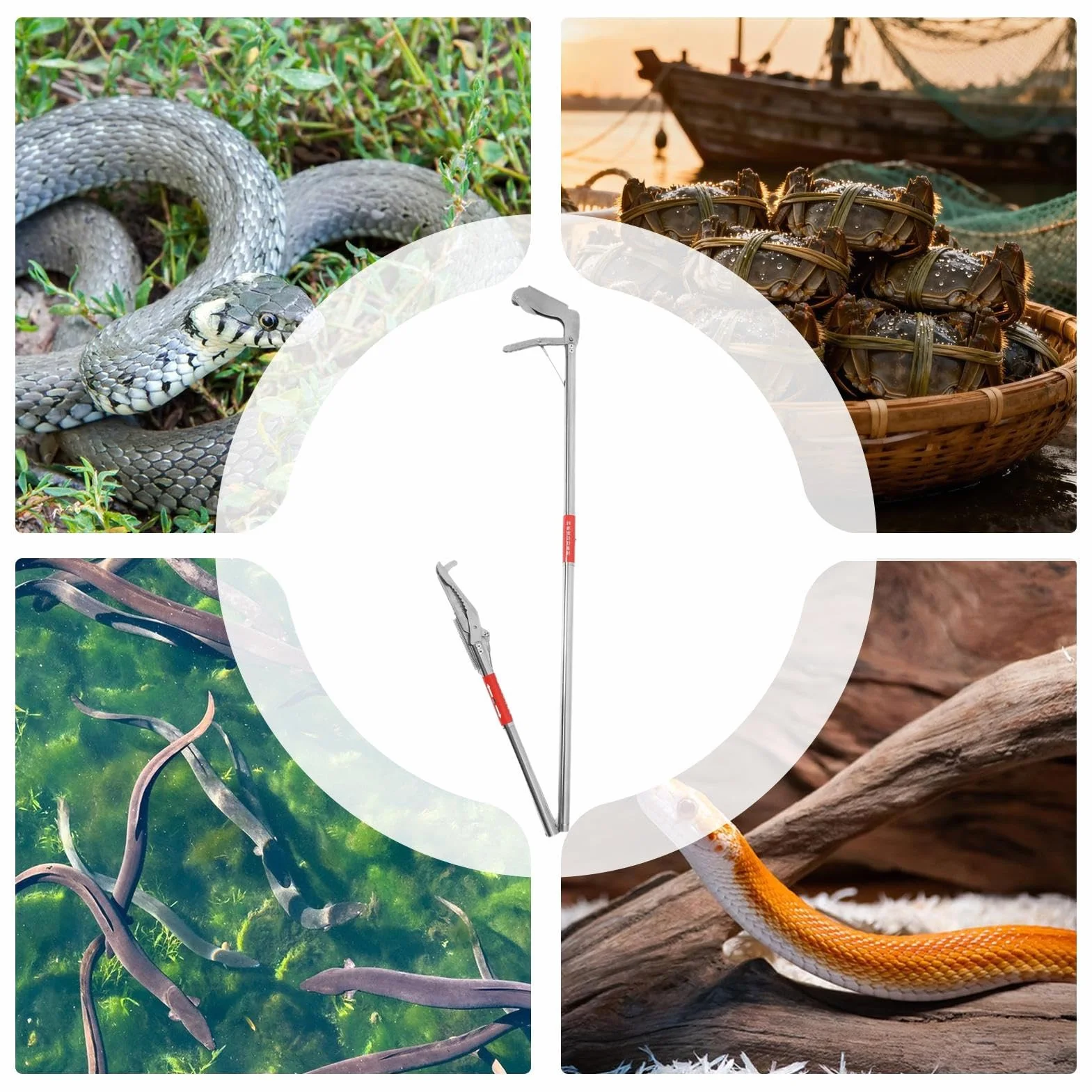 Pinces À Serpent Pliable En Acier Inoxydable 120 Cm - Attrape-Reptiles Robuste