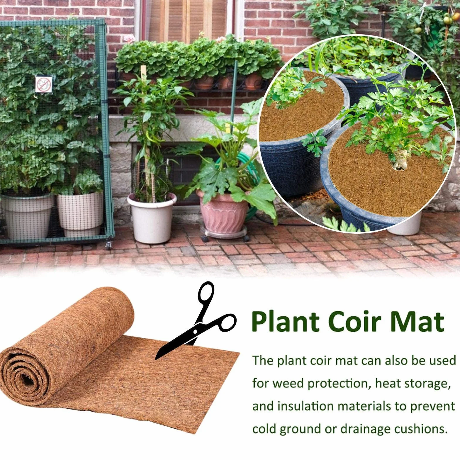 Zalati Lot de 2 tapis en fibre de coco naturelle pour terrarium 50 x 30 cm