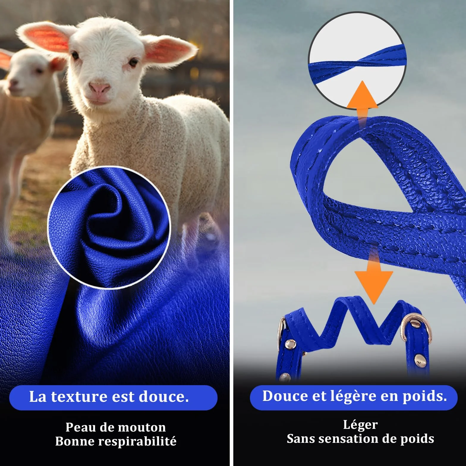 Collier Chat Anti-Étranglement en Cuir d'agneau Boucle Amovible Bleu