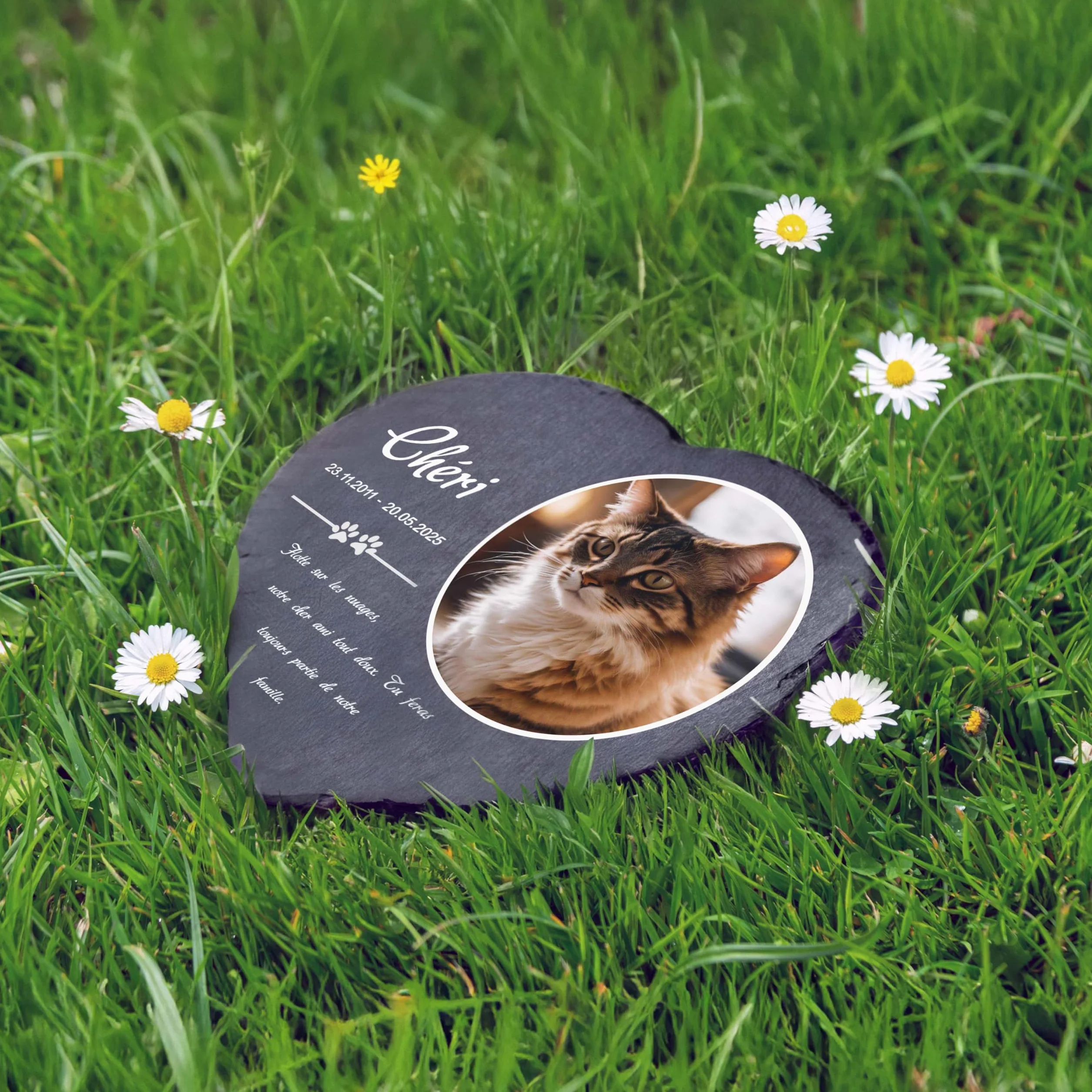Plaque funéraire personnalisée pour Chien et Chat - Ardoise gravée Pierre tombale Animaux