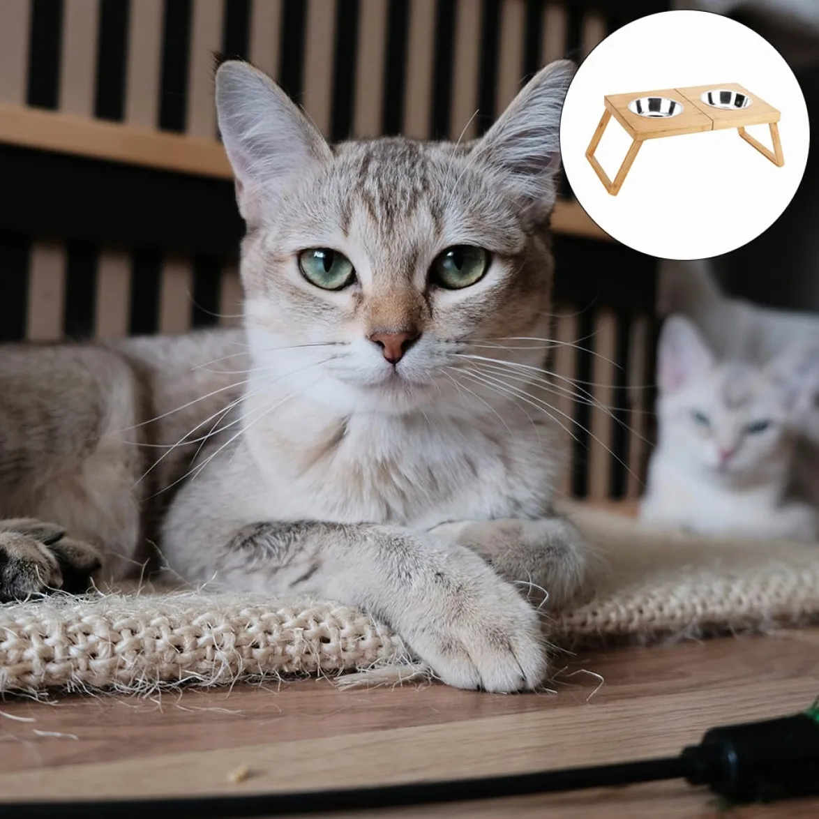 ibasenice Mangeoire pour Animaux Pliable Acier Inoxydable Support pour Deux Gamelles pour Chiens Et Chats Gamelle pour Nourriture Et Eau