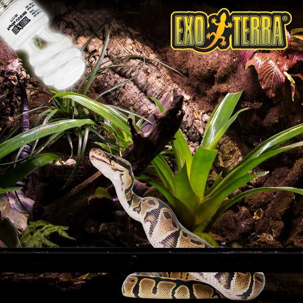 Exoterra Reptiglo Fluocompact 5.0 13 W ampoule pour reptiles et amphibiens