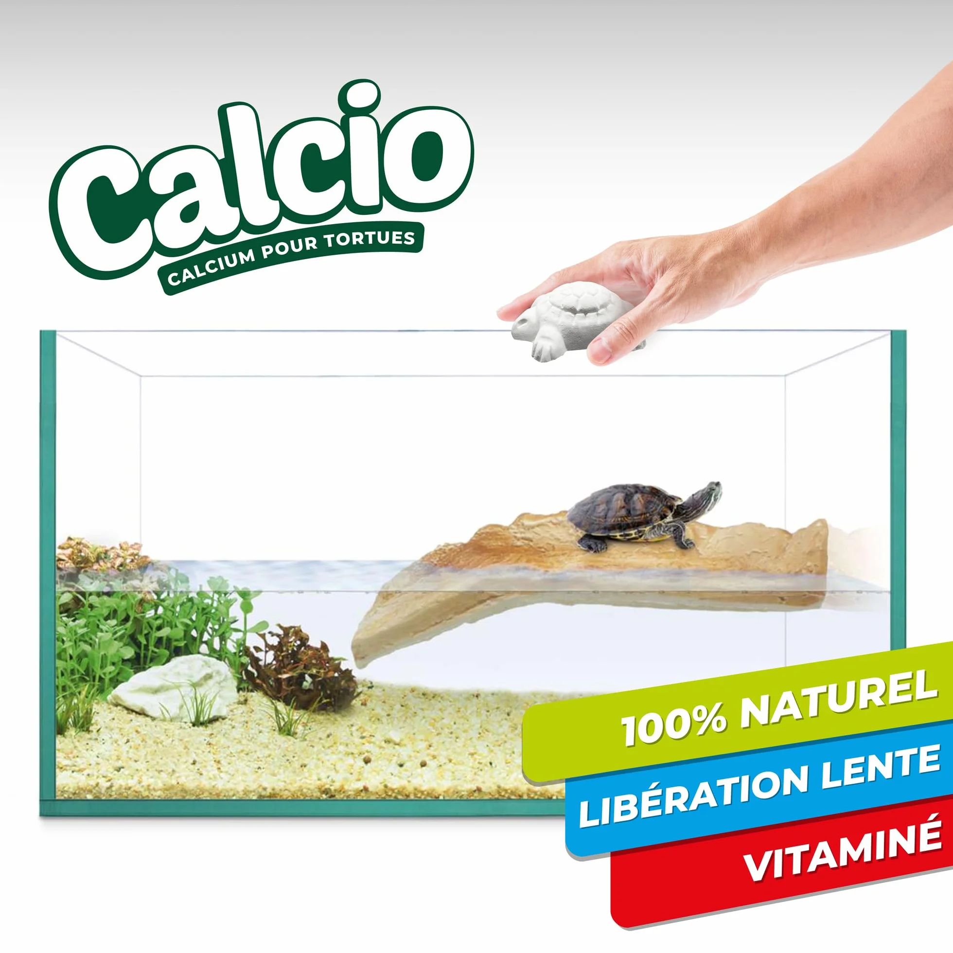 AF Os de Seiche Tortue Alternatif, Pack 8 Pièces Calcium Tortue Terrestre et Aquatique, Bloc Minéral Libération Lente