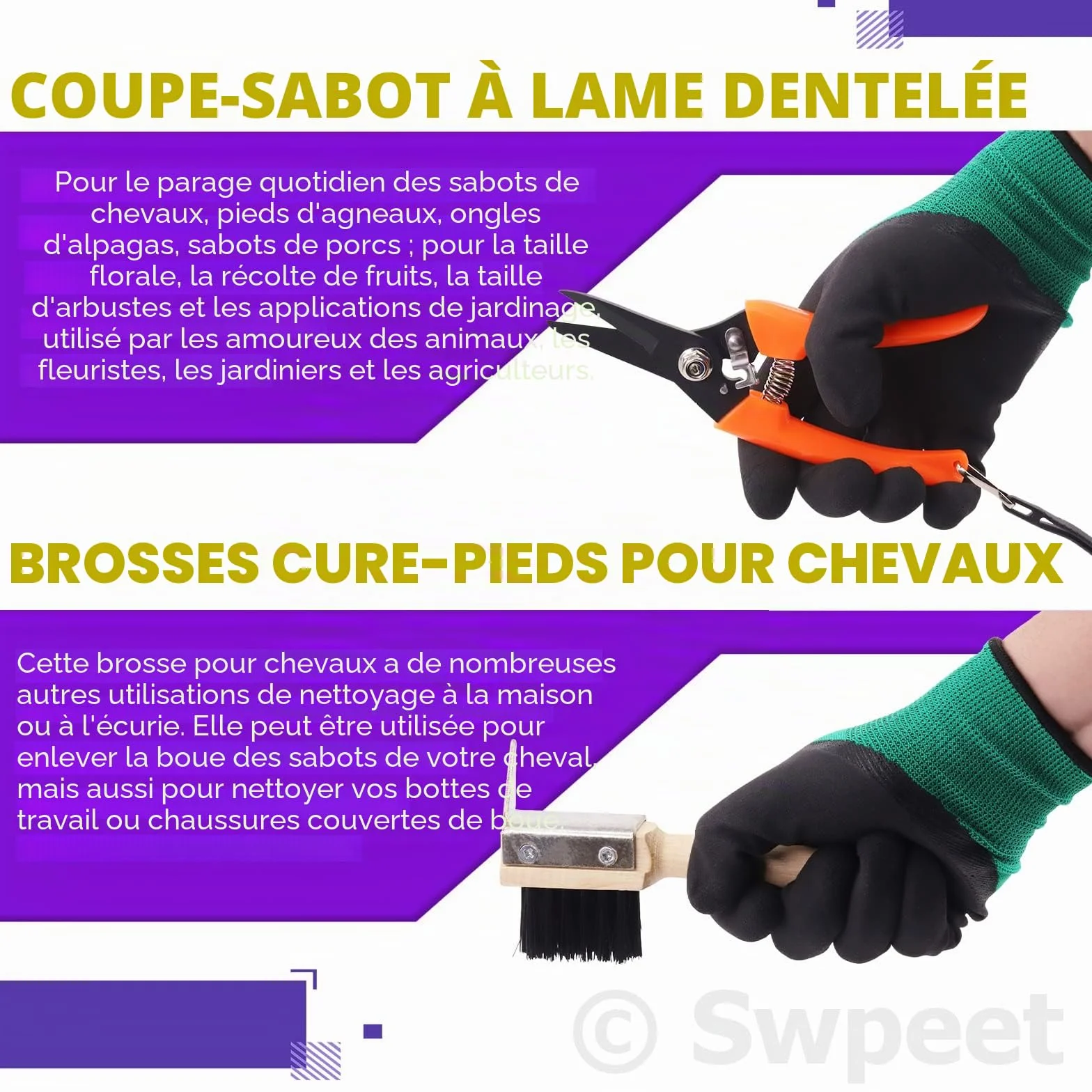 Swpeet Kit de 8 pièces d'outils de maréchalerie professionnels avec cisailles, coupe-sabot, lime et pince
