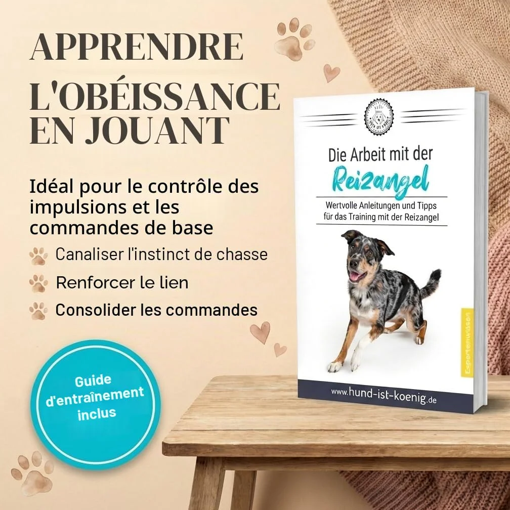 HUND IST KÖNIG Canne à pêche Professionnelle pour Chien - Idéale pour Le Dressage de Votre Chien - Jouet pour Chien - pour l'entraînement en extérieur - avec Corde de Rechange et Corde