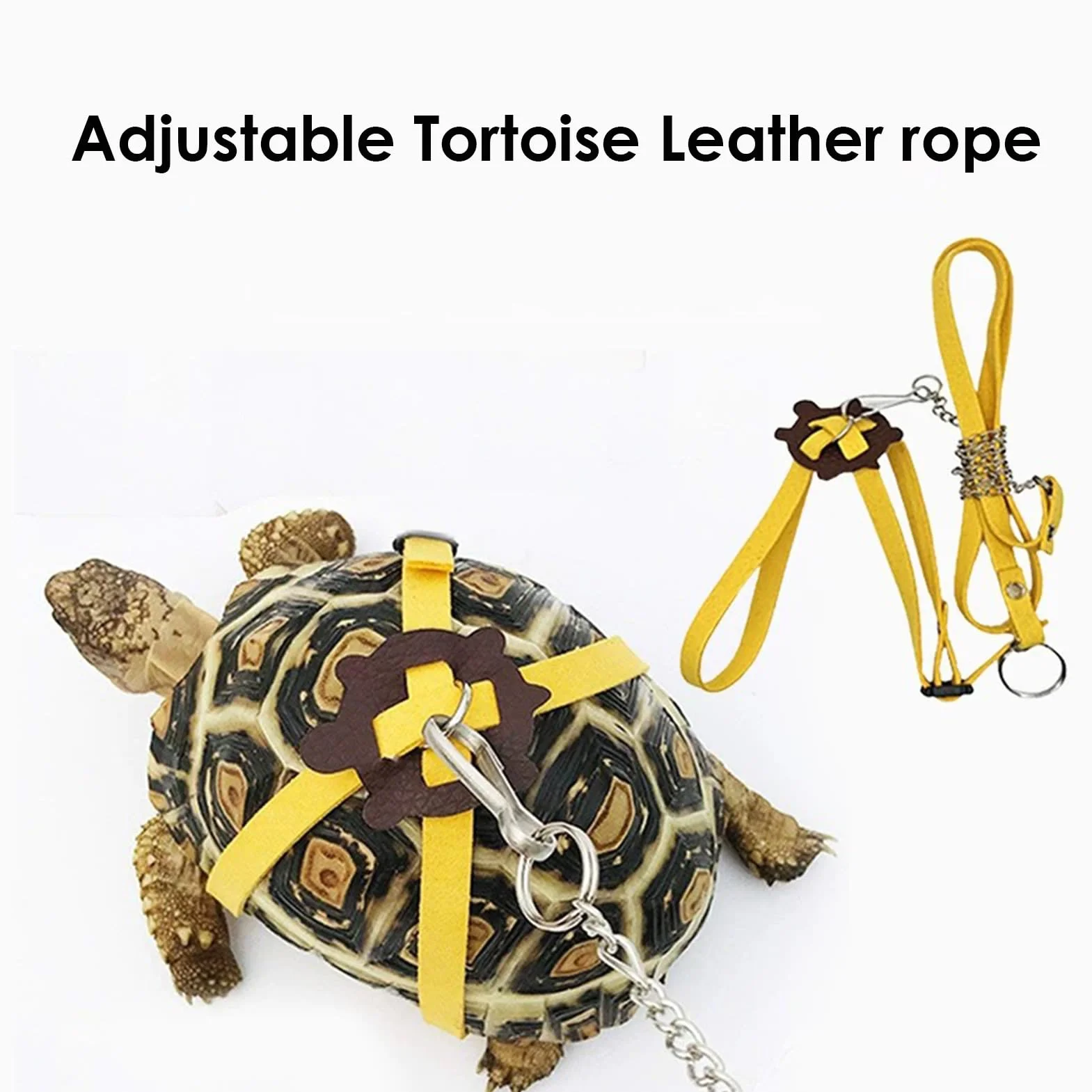 Harnais Sécurité Planche À Roulettes Pour Tortues Accessoires Réglables Reptiles Intérieur Extérieur
