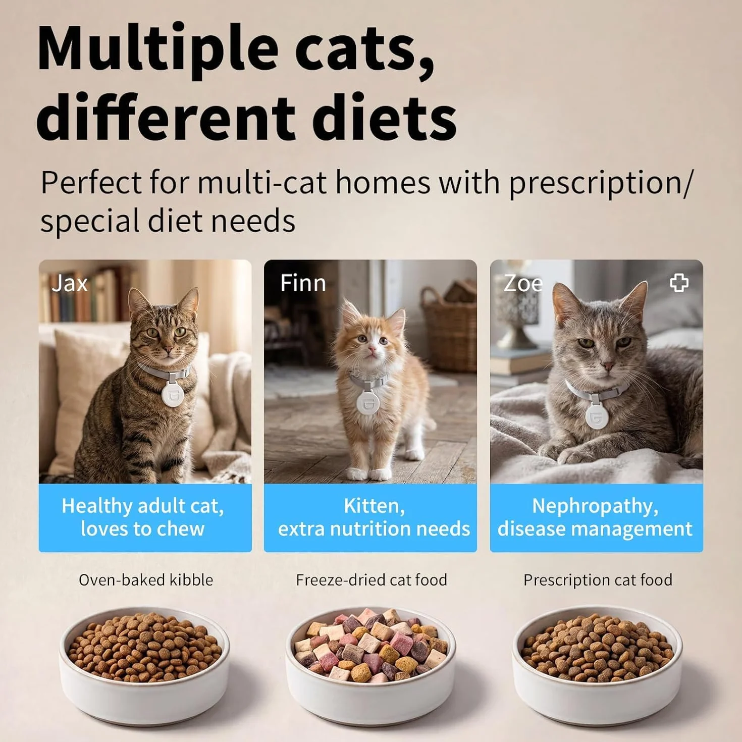 Distributeur Croquettes Chat Automatique RFID WiFi, 4.6L Bol Céramique, Reconnaissance Chat
