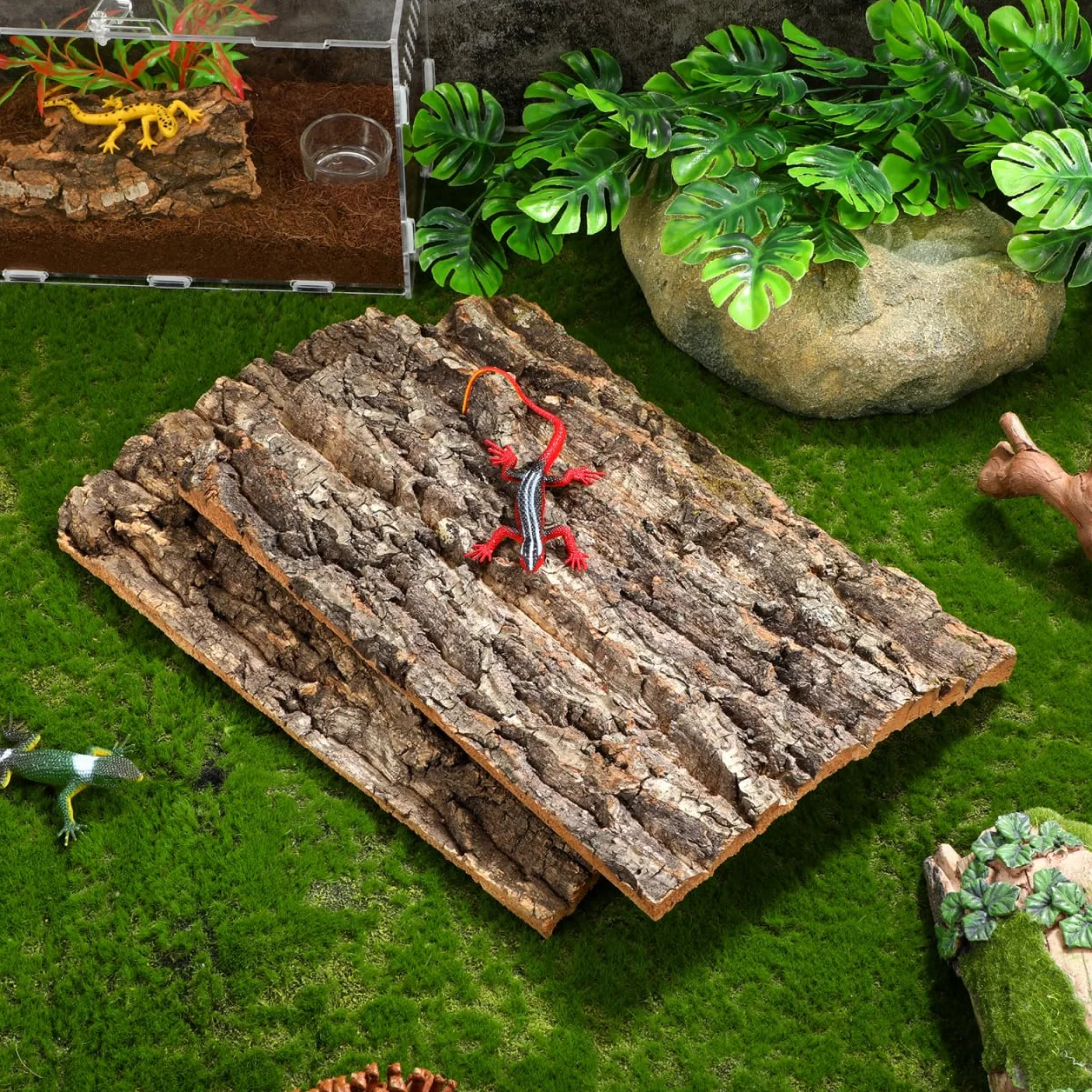 DOITOOL Lot de 2 terrariums en liège 30 cm Écorce Reptile Décoration Terrarium Tapis escalade Reptile Dragon lézard Geckos araignée Tortue